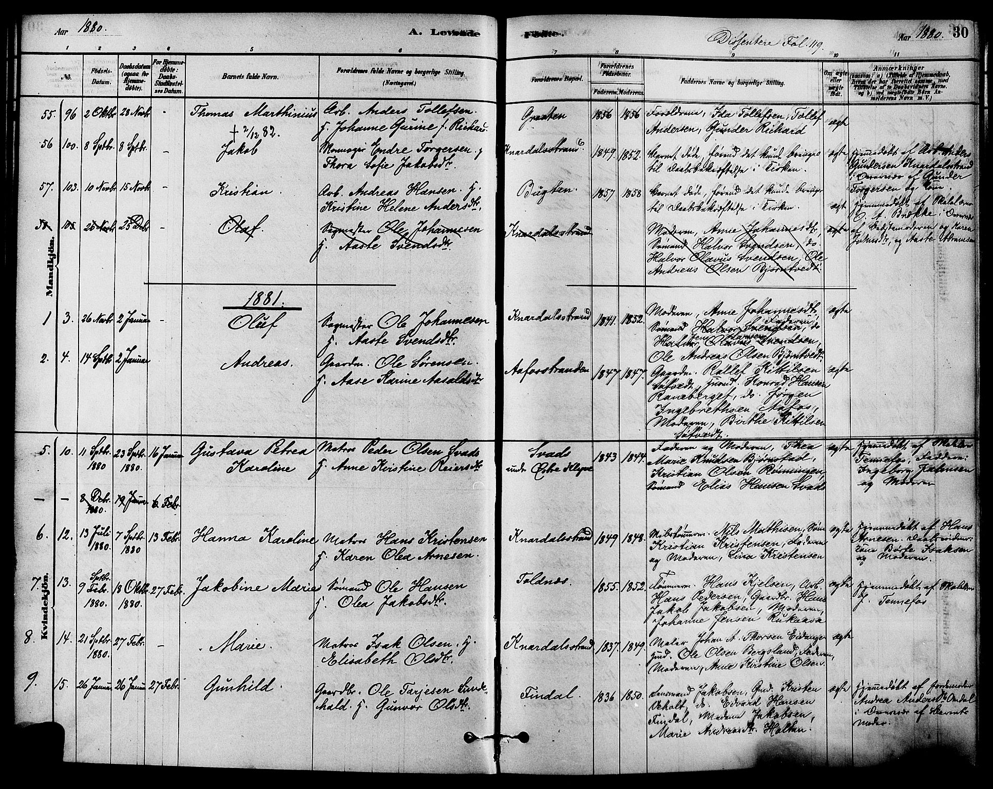 Solum kirkebøker, AV/SAKO-A-306/F/Fa/L0009: Parish register (official) no. I 9, 1877-1887, p. 30