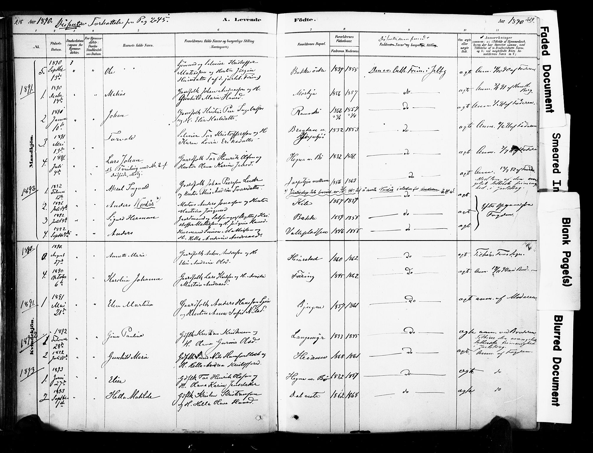 Ramnes kirkebøker, SAKO/A-314/F/Fa/L0007: Parish register (official) no. I 7, 1878-1895, p. 218-219