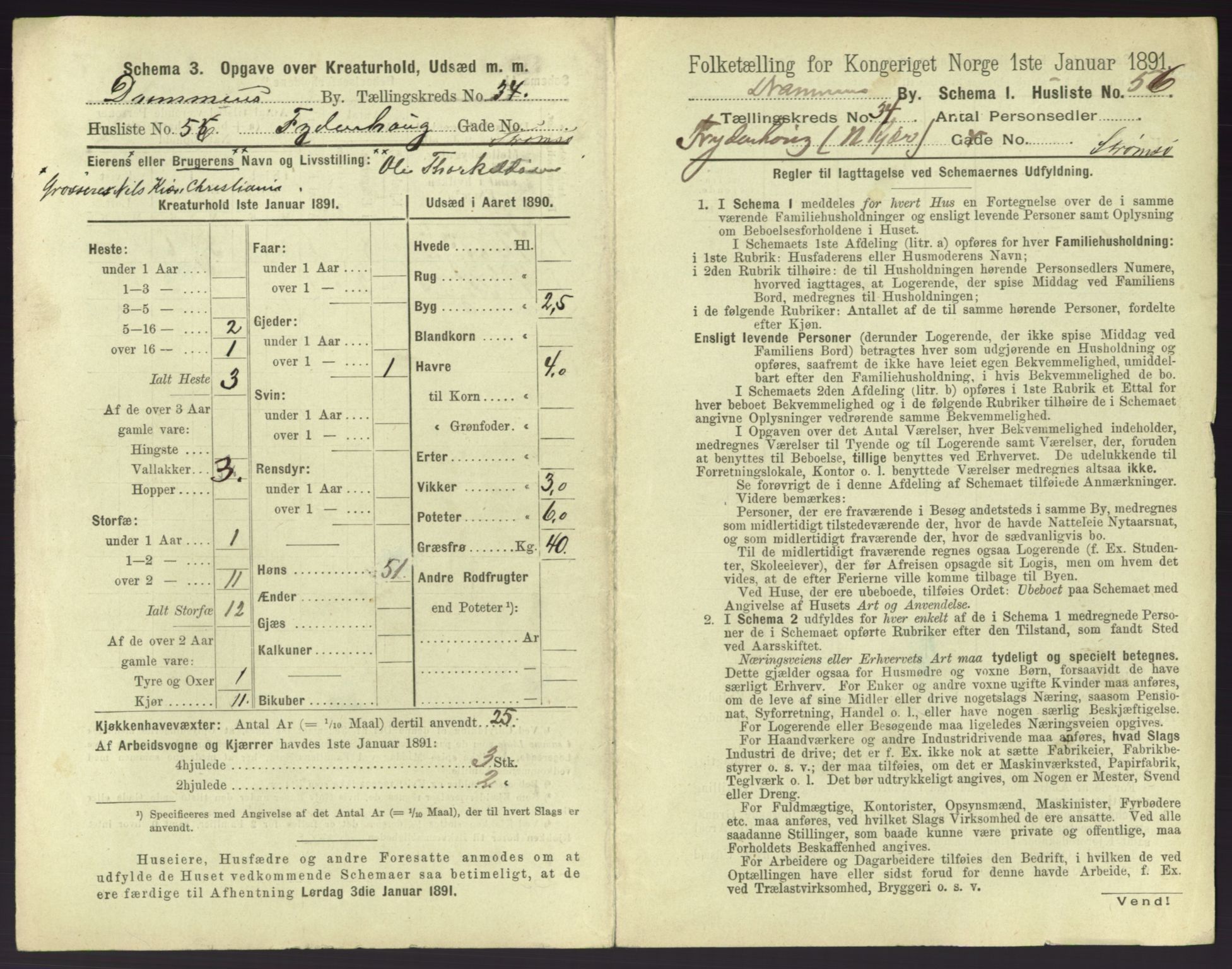 RA, 1891 census for 0602 Drammen, 1891, p. 3105