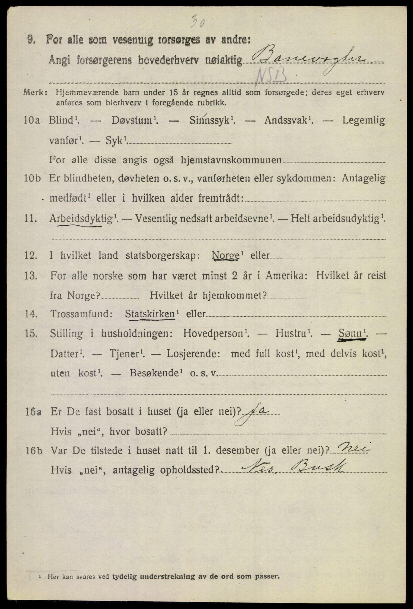 SAKO, 1920 census for Hol (Buskerud), 1920, p. 4088