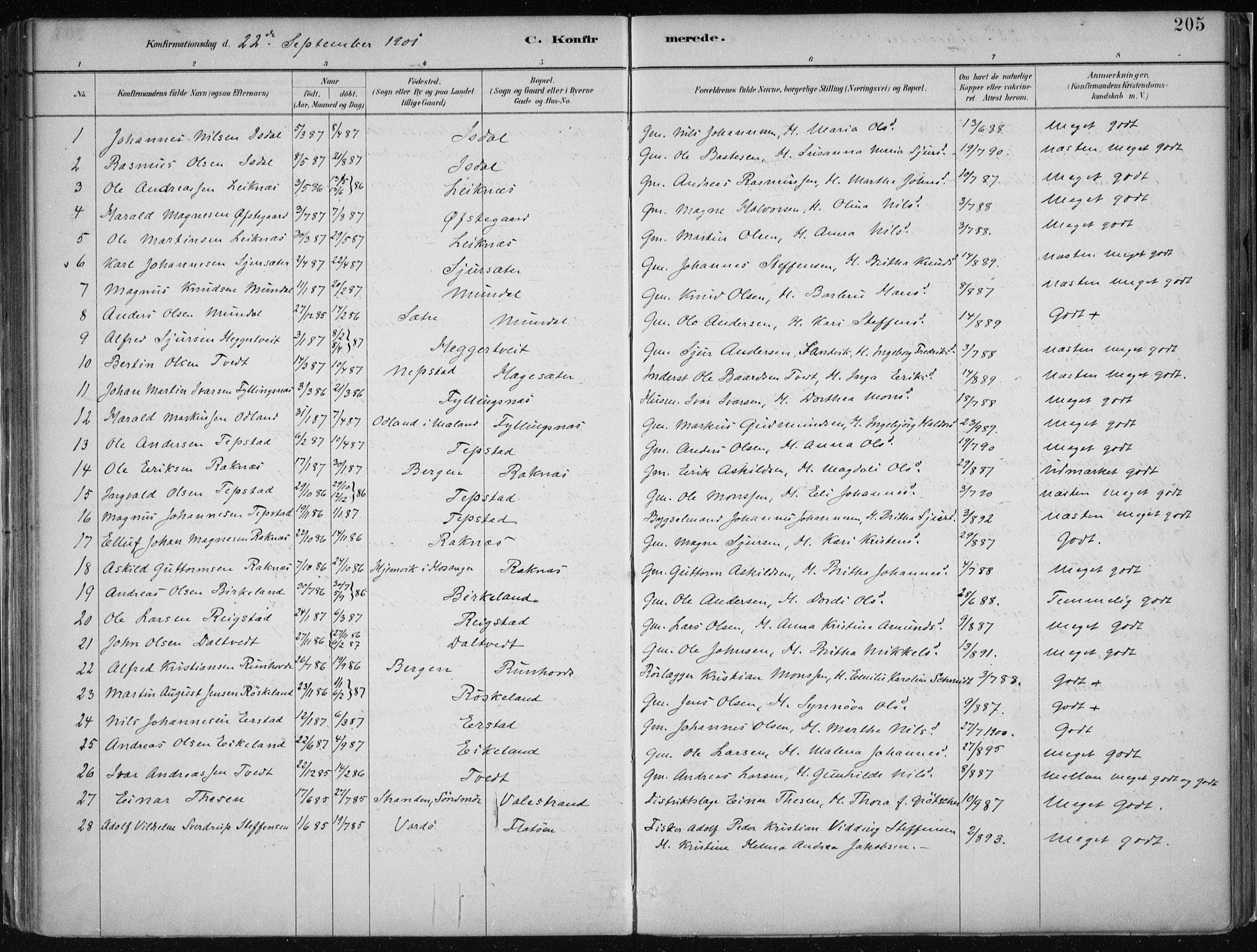 Hamre sokneprestembete, AV/SAB-A-75501/H/Ha/Haa/Haab/L0001: Parish register (official) no. B  1, 1882-1905, p. 205