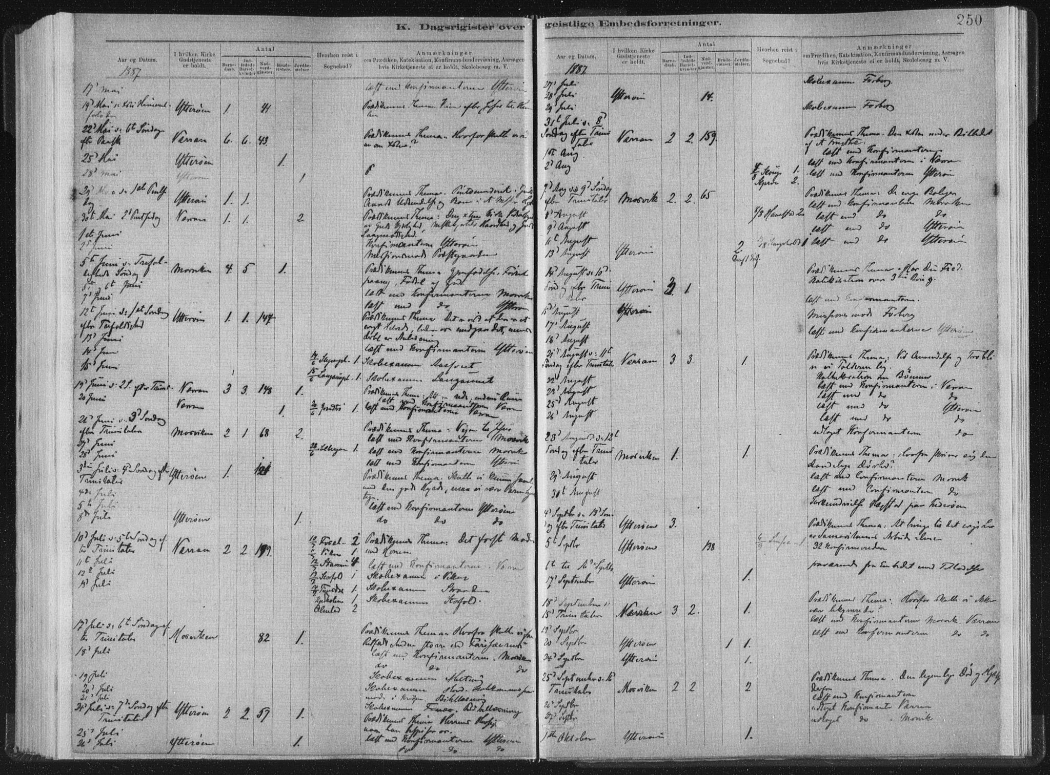 Ministerialprotokoller, klokkerbøker og fødselsregistre - Nord-Trøndelag, SAT/A-1458/722/L0220: Parish register (official) no. 722A07, 1881-1908, p. 250
