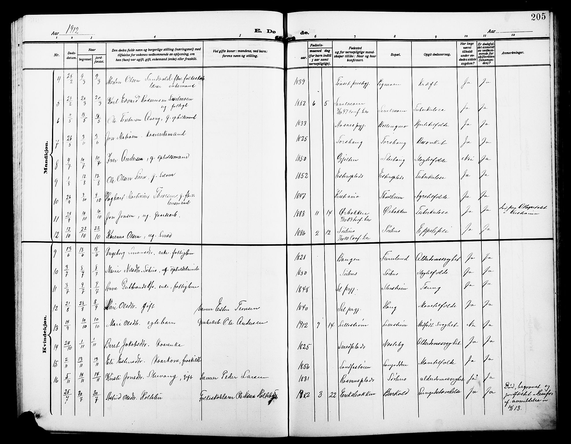 Alvdal prestekontor, SAH/PREST-060/H/Ha/Hab/L0005: Parish register (copy) no. 5, 1908-1923, p. 205