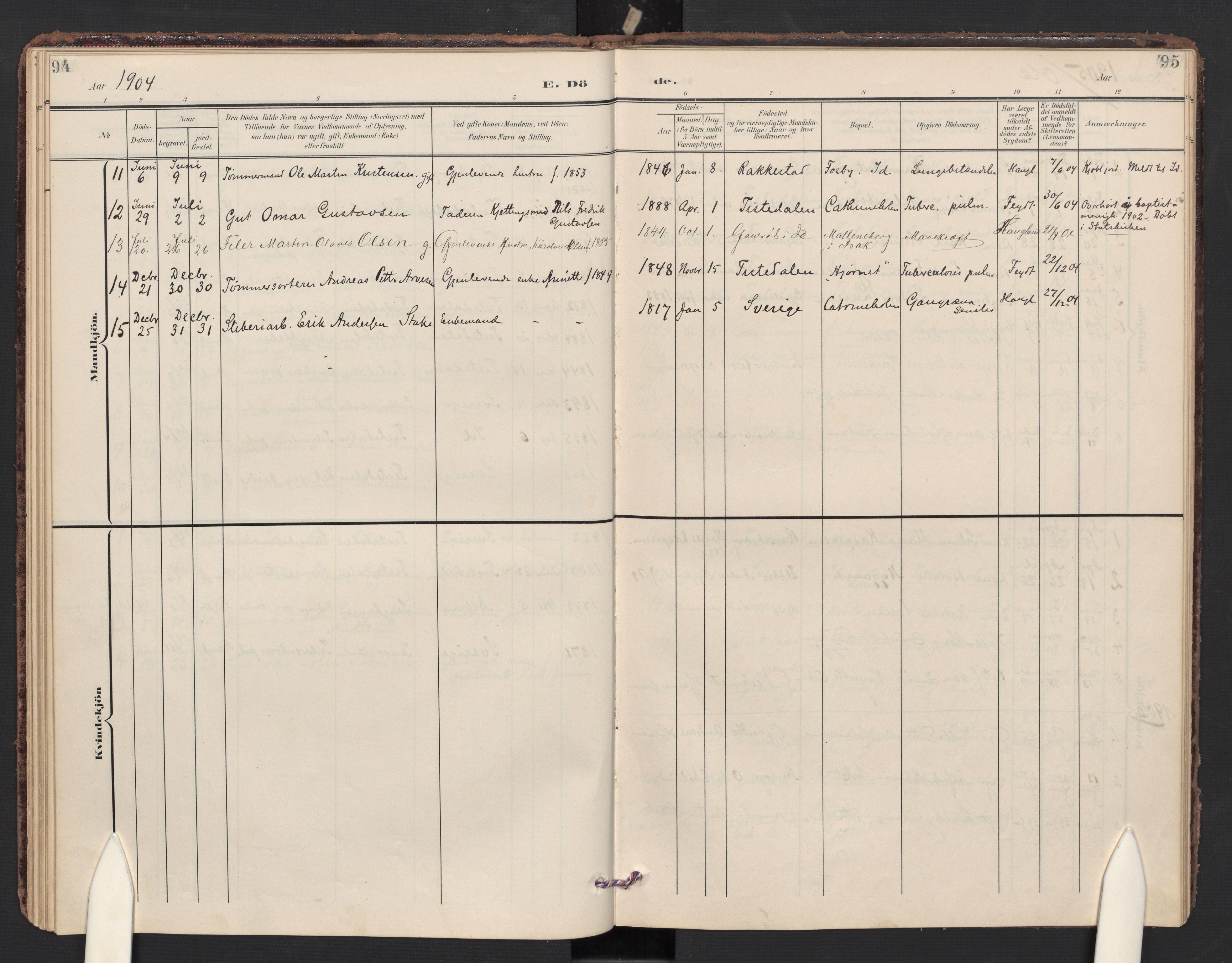 Halden prestekontor Kirkebøker, AV/SAO-A-10909/F/Fc/L0001: Parish register (official) no. III 1, 1902-1908, p. 94-95