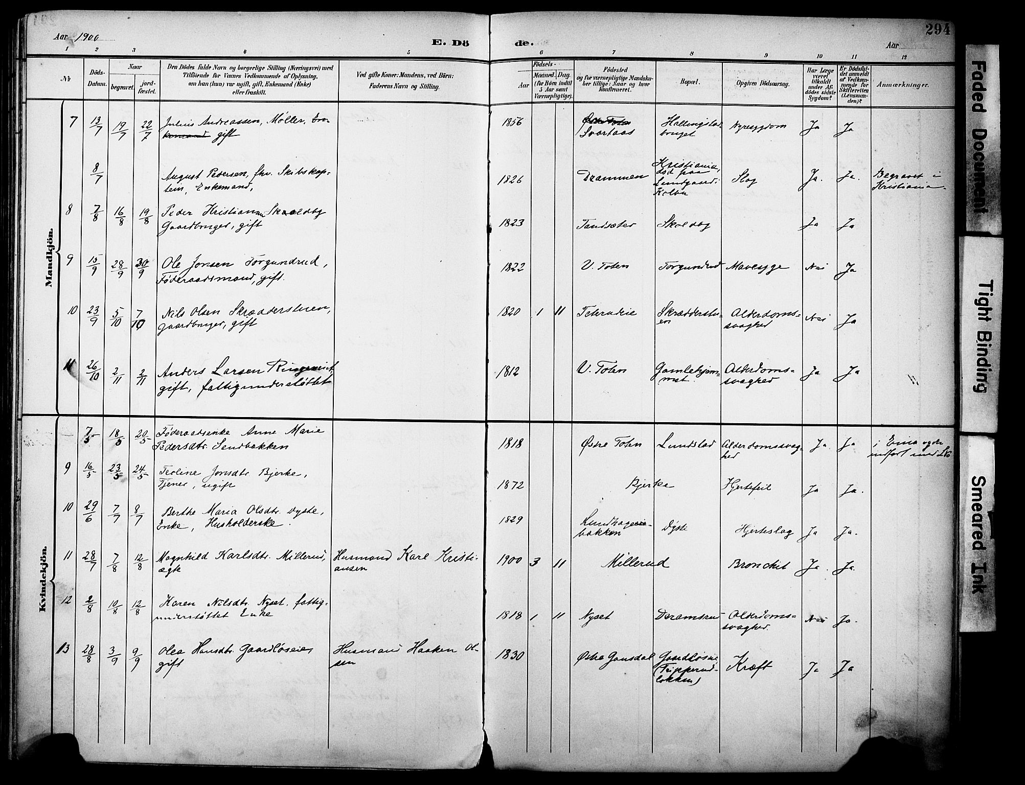 Vestre Toten prestekontor, SAH/PREST-108/H/Ha/Haa/L0013: Parish register (official) no. 13, 1895-1911, p. 294