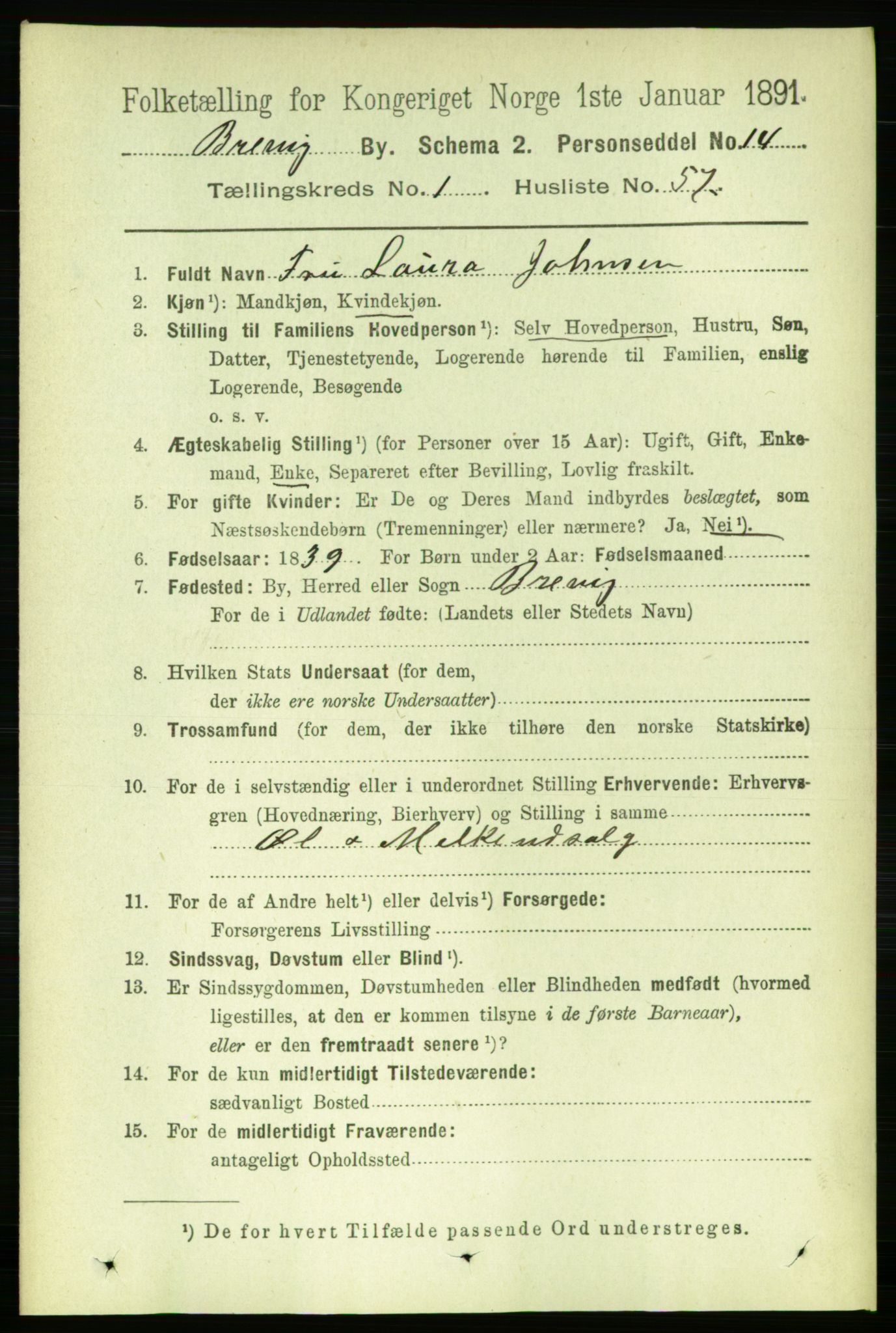 RA, 1891 census for 0804 Brevik, 1891, p. 1182