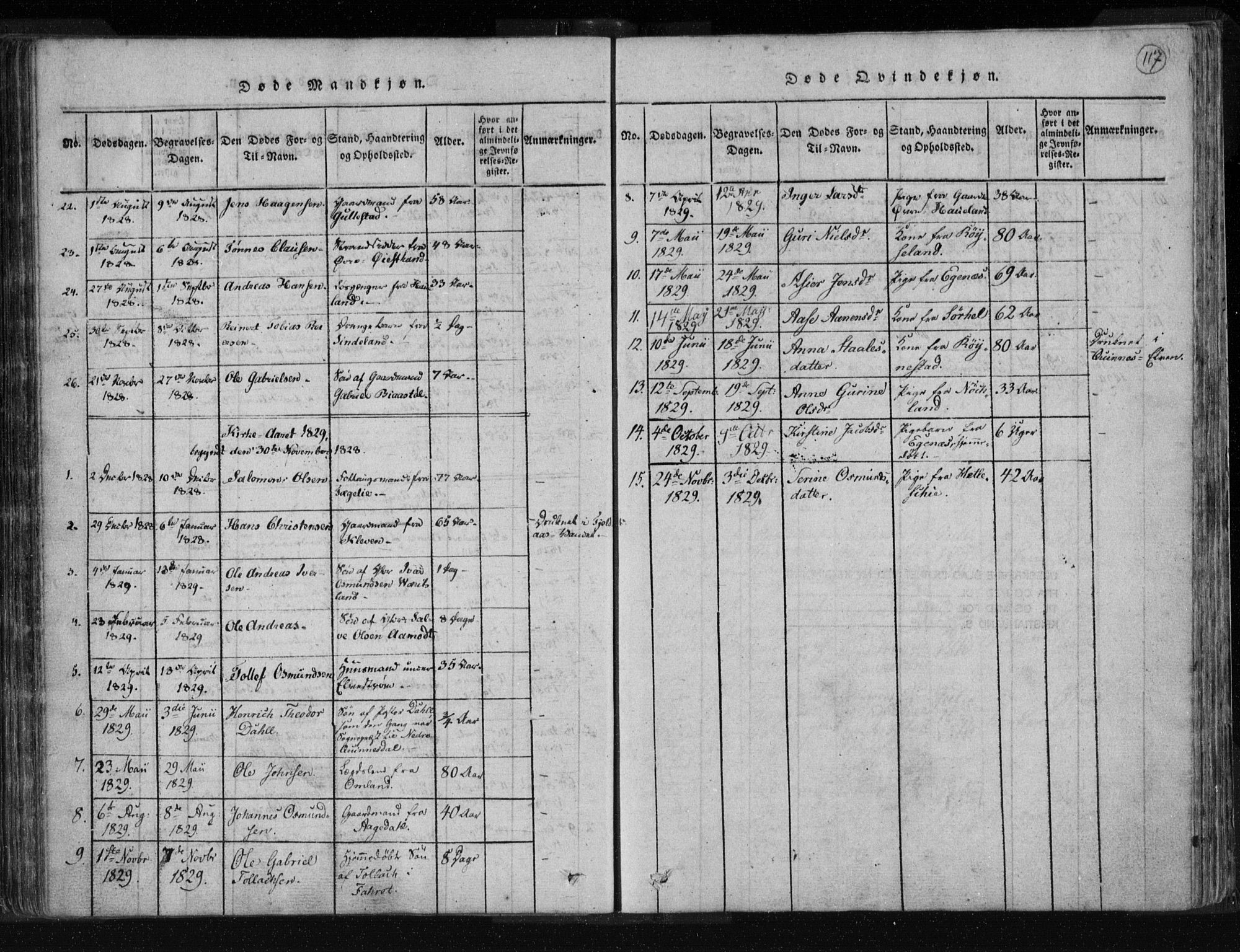 Kvinesdal sokneprestkontor, AV/SAK-1111-0026/F/Fa/Fab/L0003: Parish register (official) no. A 3, 1815-1829, p. 117