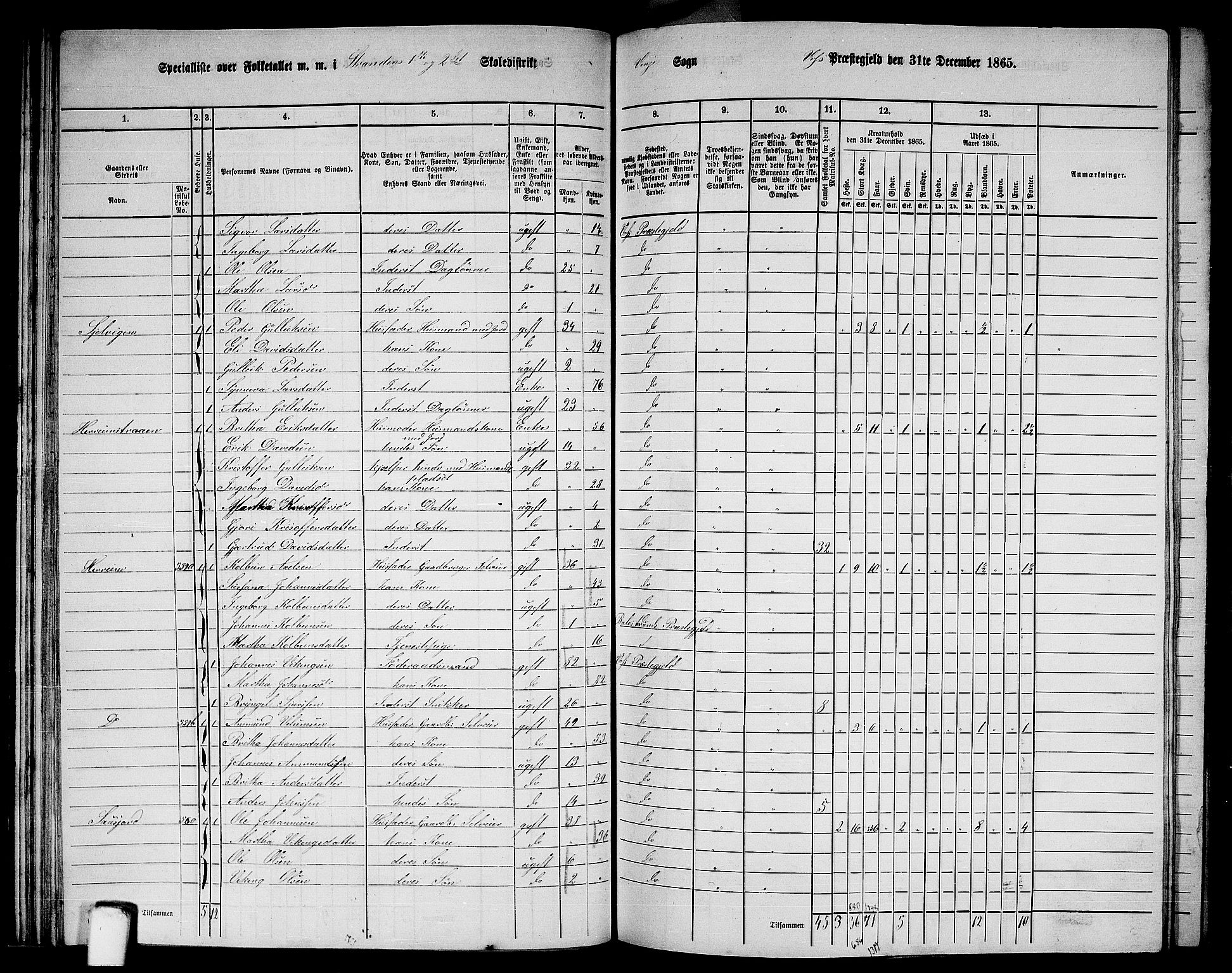 RA, 1865 census for Voss, 1865, p. 304