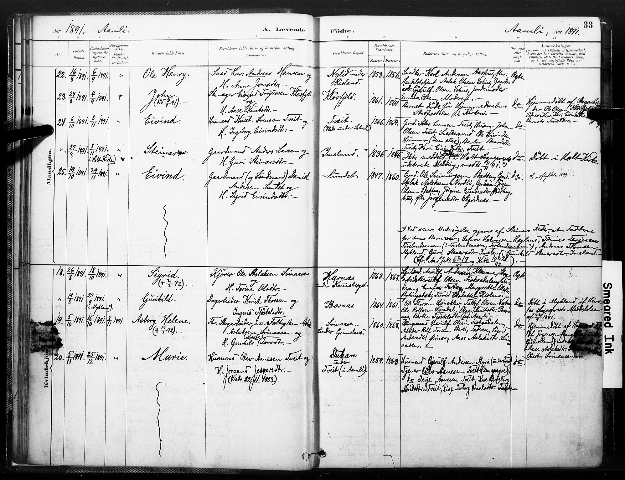 Åmli sokneprestkontor, AV/SAK-1111-0050/F/Fa/Fac/L0010: Parish register (official) no. A 10 /1, 1885-1899, p. 33