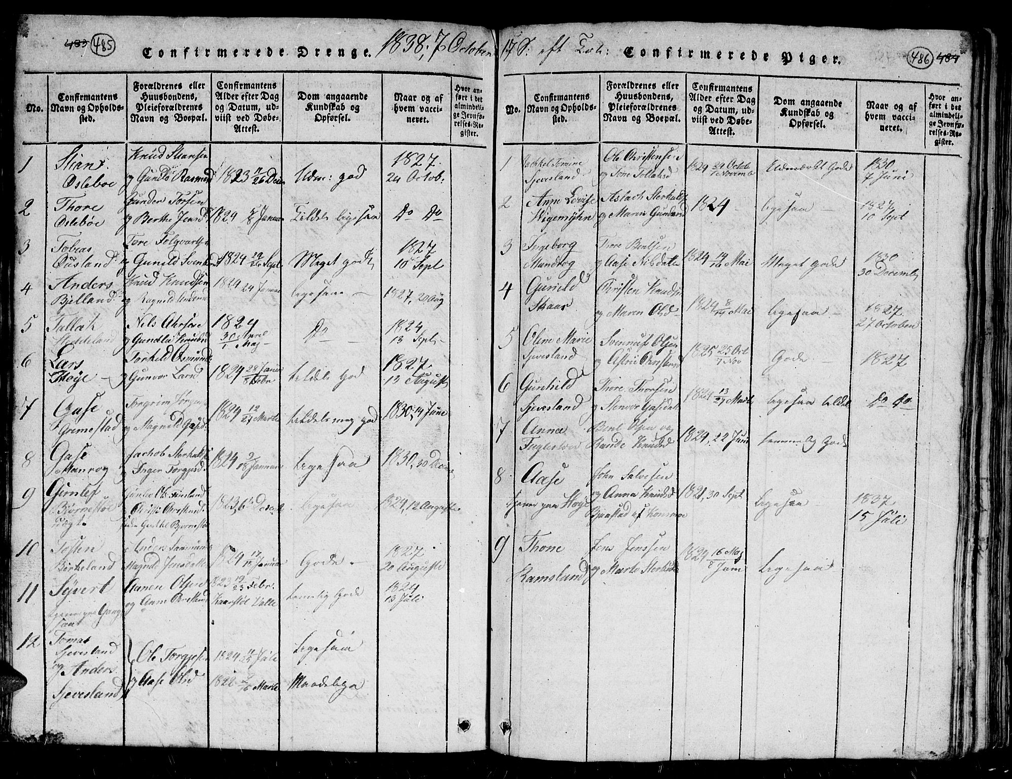 Holum sokneprestkontor, SAK/1111-0022/F/Fb/Fbc/L0001: Parish register (copy) no. B 1, 1820-1859, p. 485-486