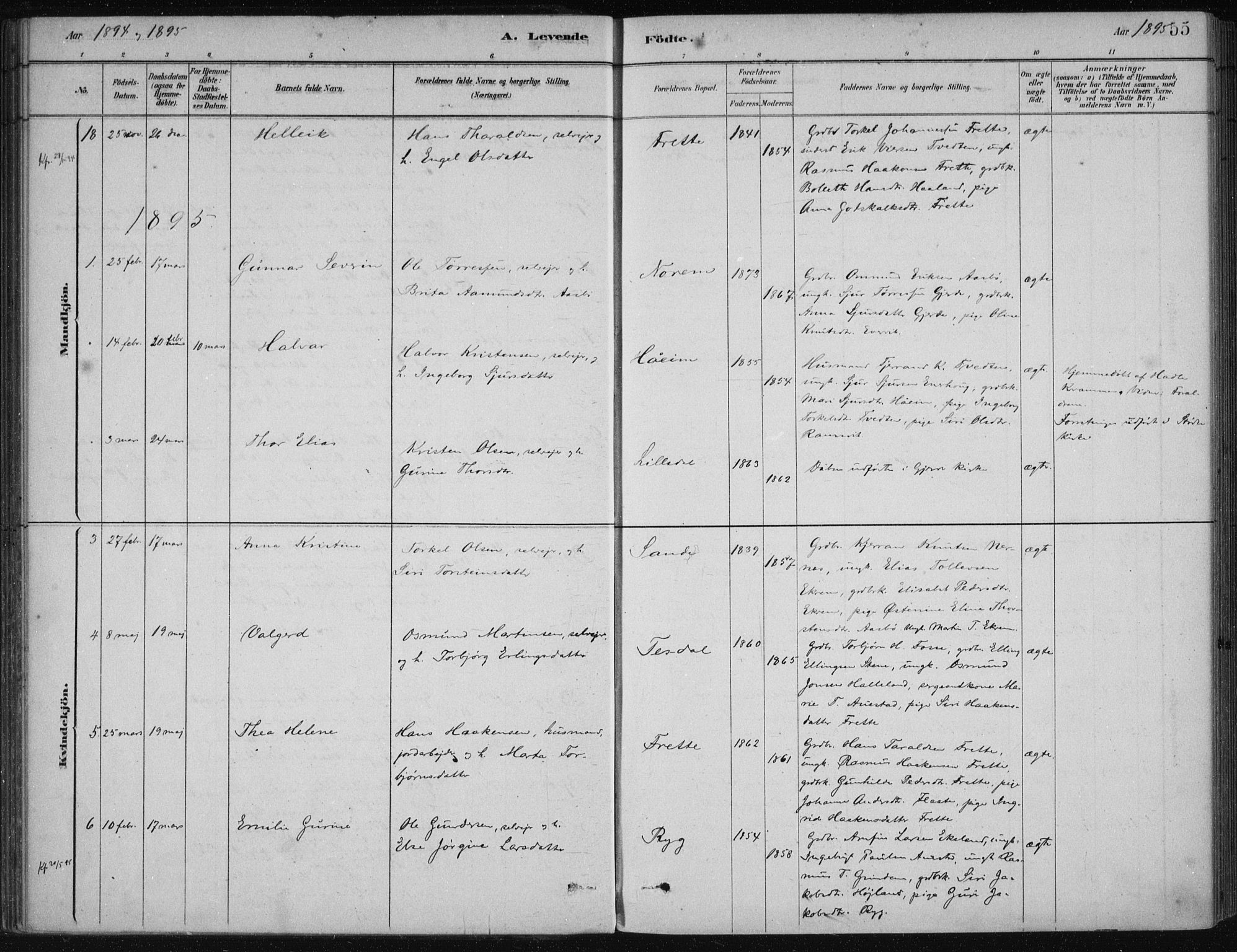 Etne sokneprestembete, AV/SAB-A-75001/H/Haa: Parish register (official) no. D  1, 1879-1919, p. 55