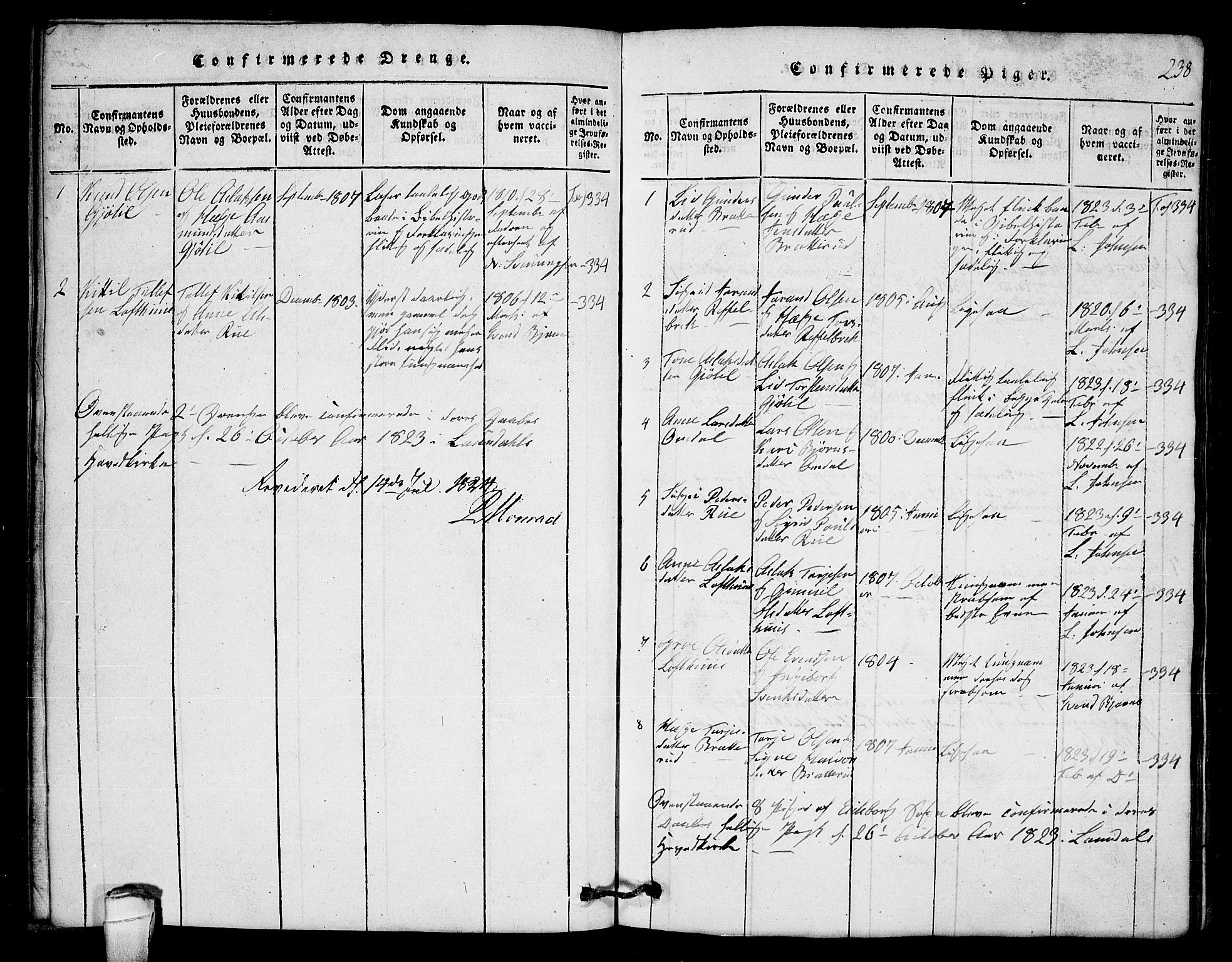 Lårdal kirkebøker, SAKO/A-284/G/Gb/L0001: Parish register (copy) no. II 1, 1815-1865, p. 238