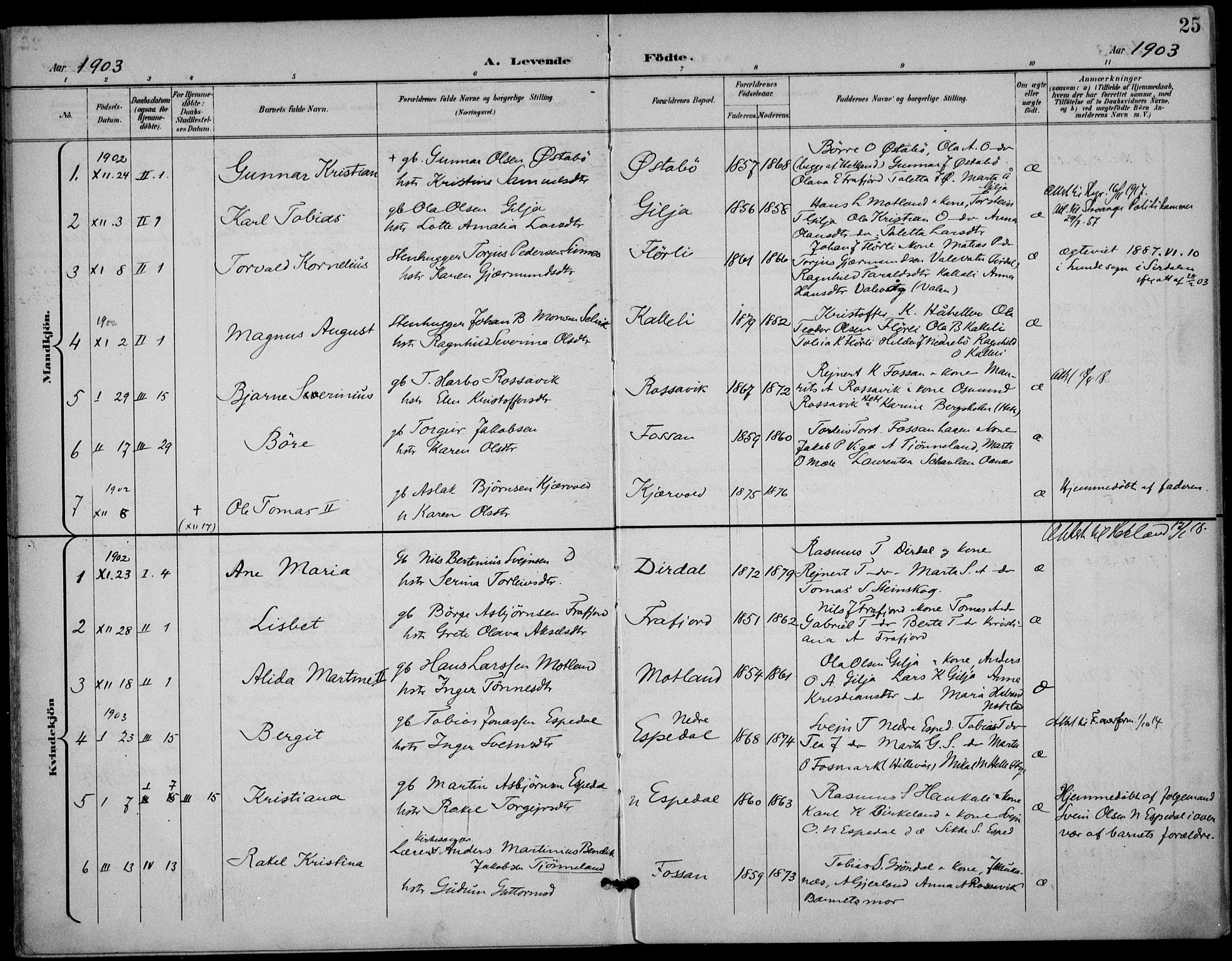 Høgsfjord sokneprestkontor, AV/SAST-A-101624/H/Ha/Haa/L0007: Parish register (official) no. A 7, 1898-1917, p. 25