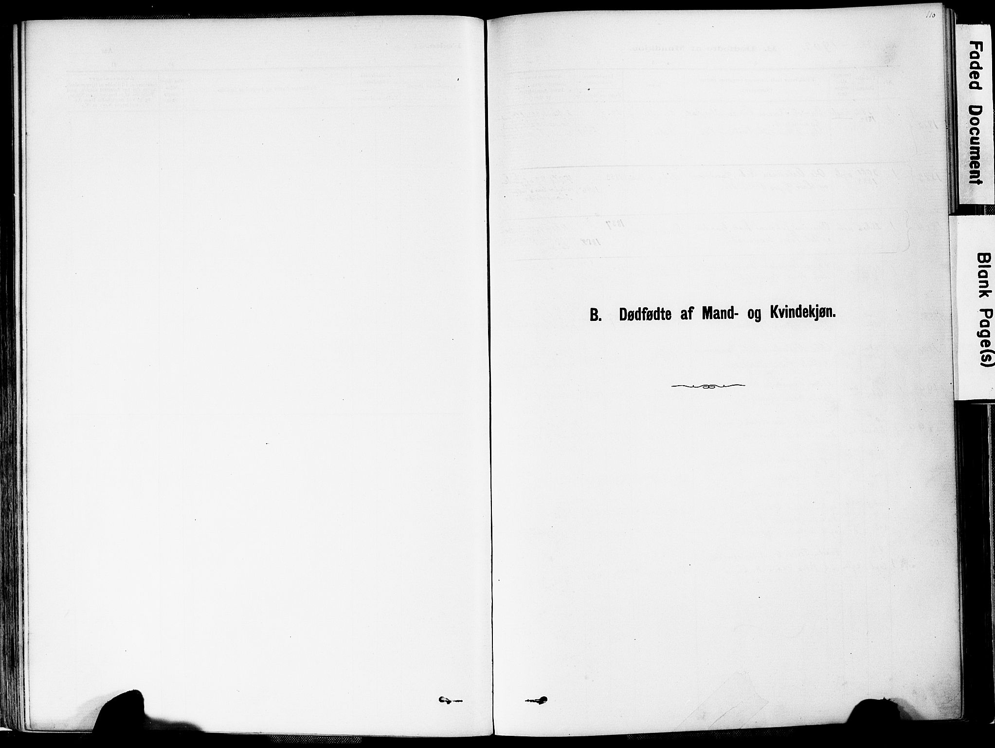 Valle sokneprestkontor, AV/SAK-1111-0044/F/Fa/Fac/L0009: Parish register (official) no. A 9, 1882-1913, p. 110