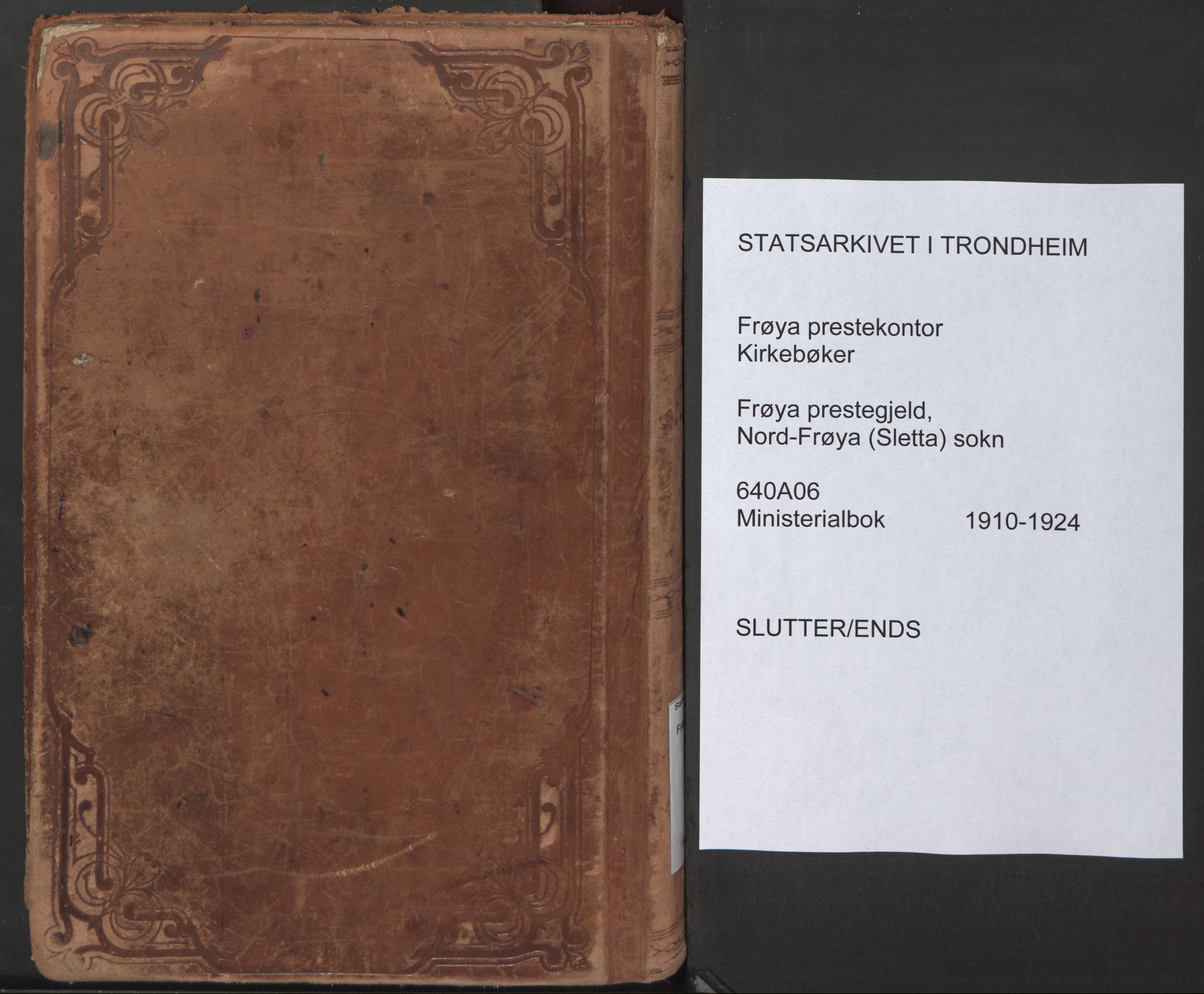 Ministerialprotokoller, klokkerbøker og fødselsregistre - Sør-Trøndelag, SAT/A-1456/640/L0581: Parish register (official) no. 640A06, 1910-1924, p. 251