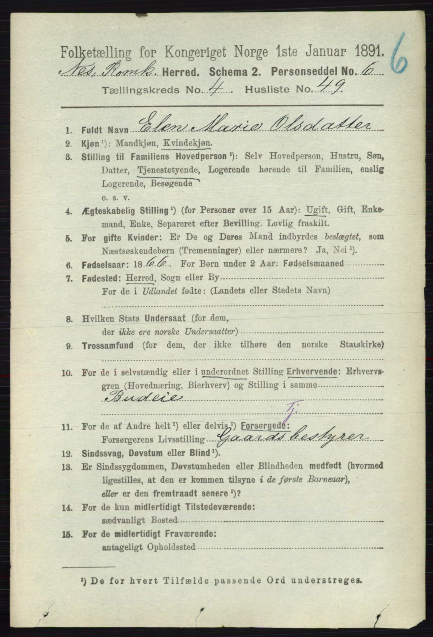 RA, 1891 census for 0236 Nes, 1891, p. 2539