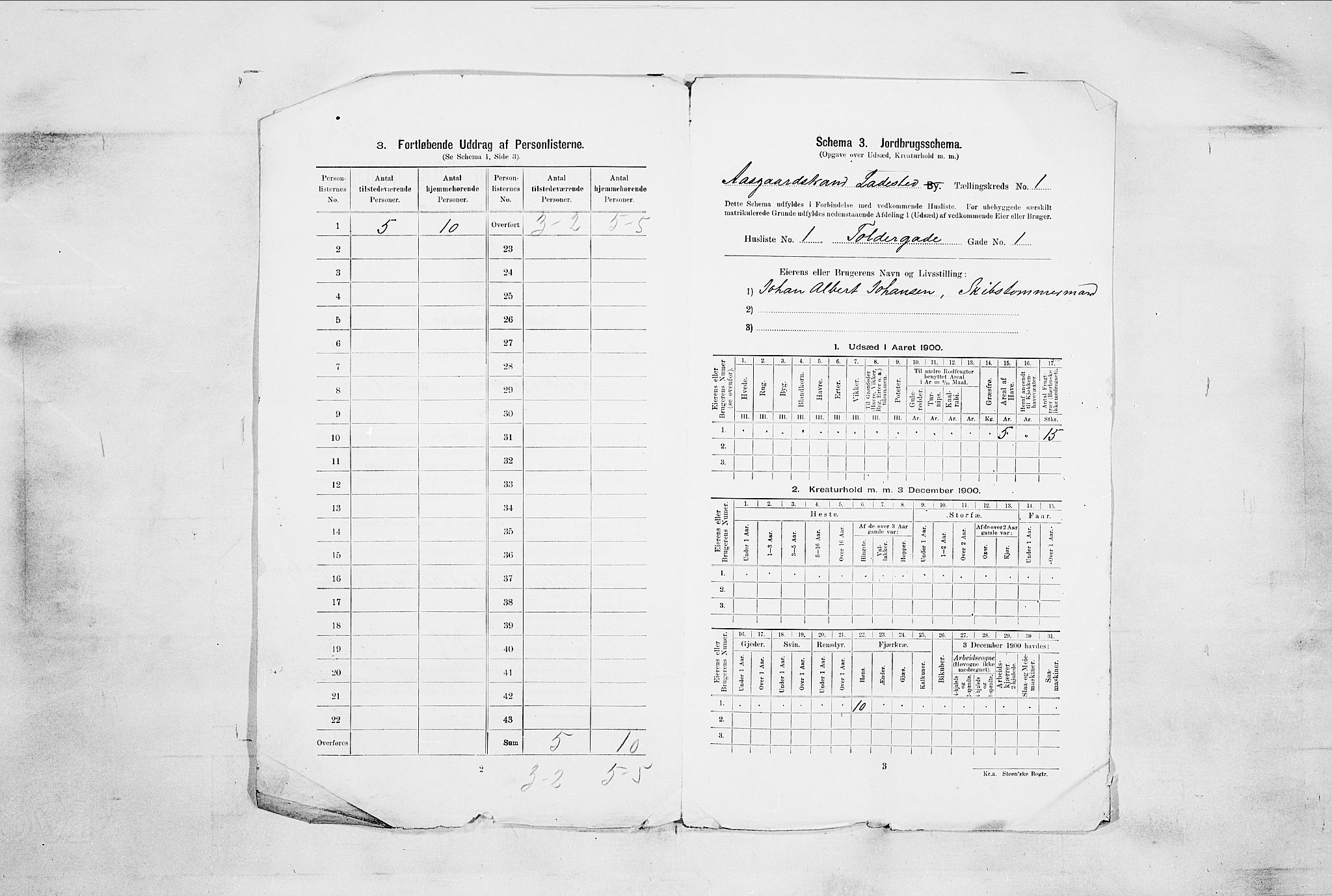 RA, 1900 census for Åsgårdstrand, 1900, p. 13