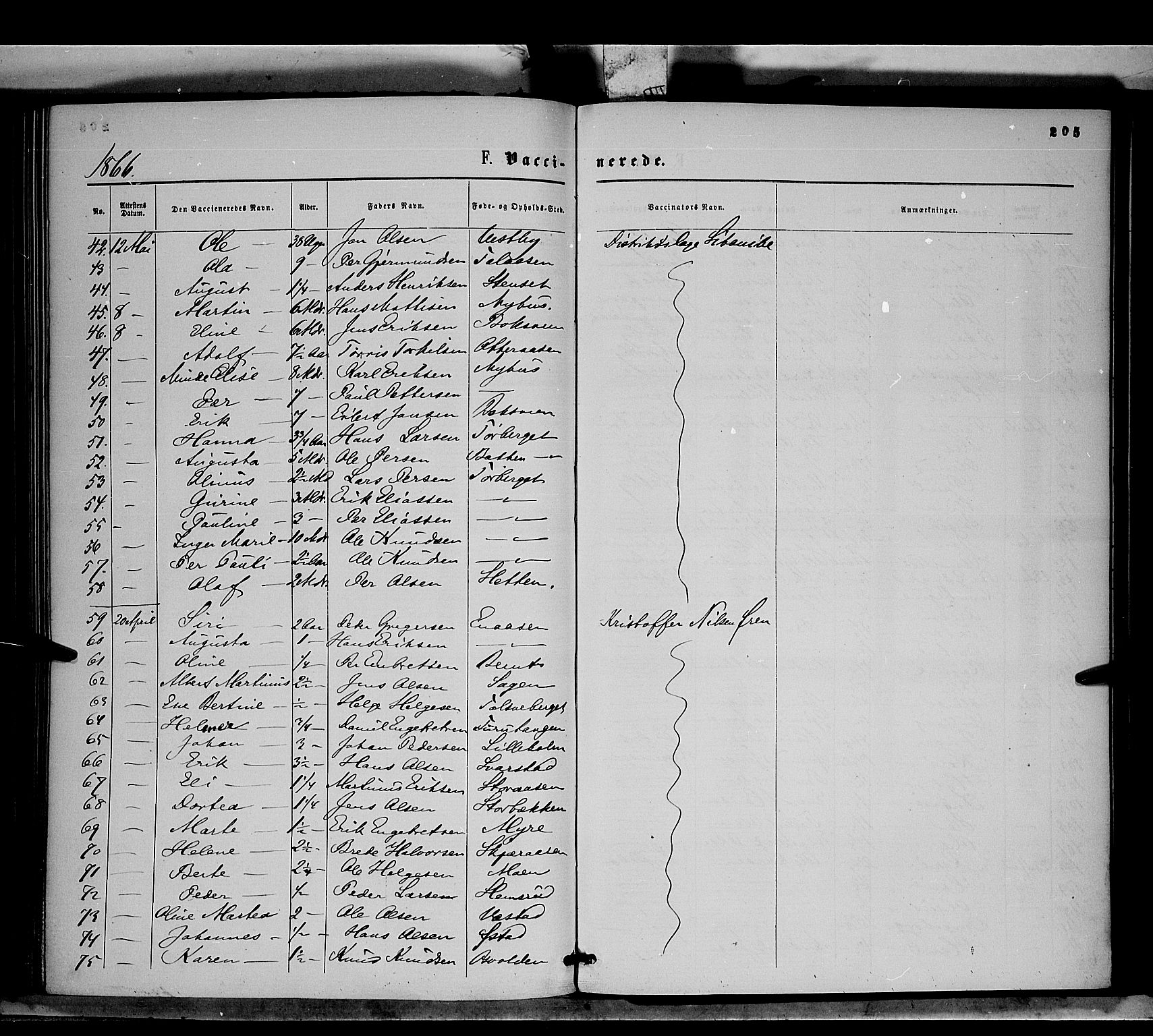 Trysil prestekontor, SAH/PREST-046/H/Ha/Haa/L0006: Parish register (official) no. 6, 1866-1873, p. 205