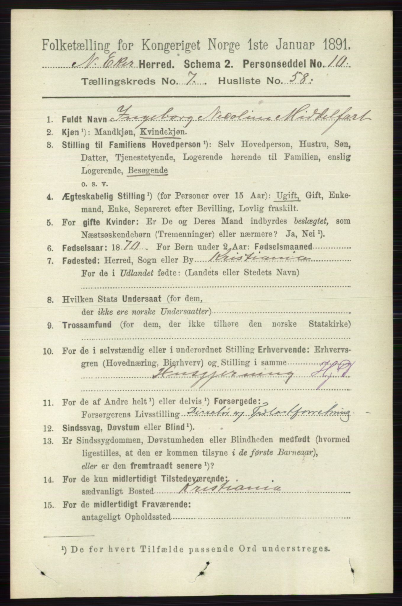 RA, 1891 census for 0625 Nedre Eiker, 1891, p. 3825