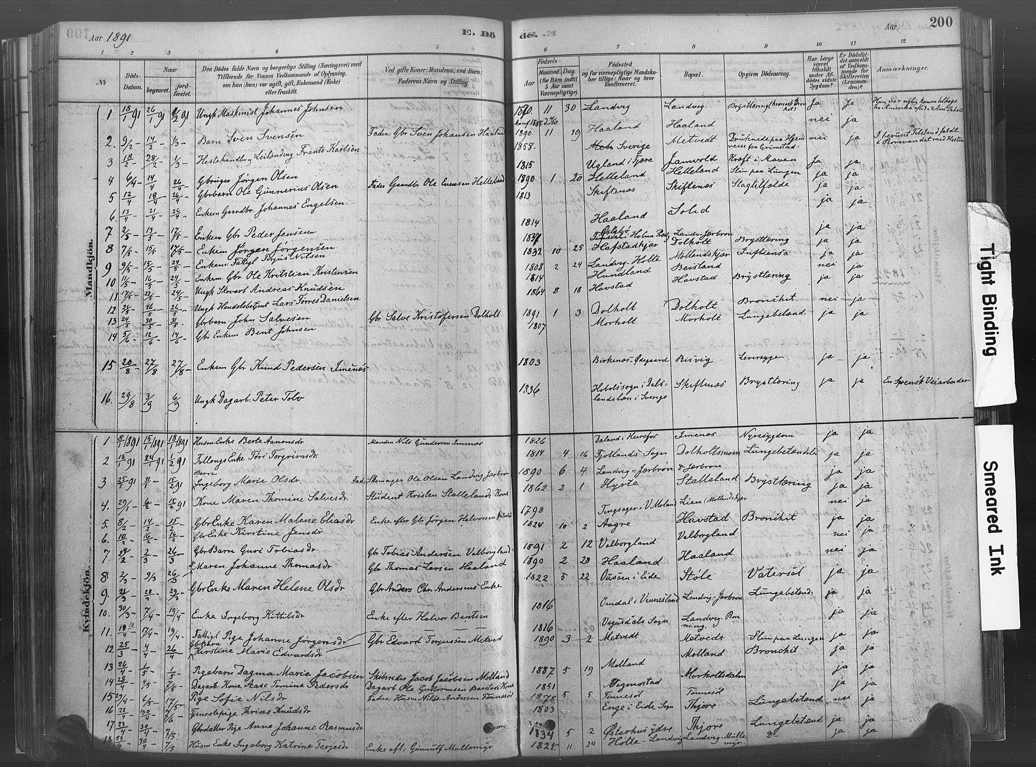 Hommedal sokneprestkontor, AV/SAK-1111-0023/F/Fa/Fab/L0006: Parish register (official) no. A 6, 1878-1897, p. 200