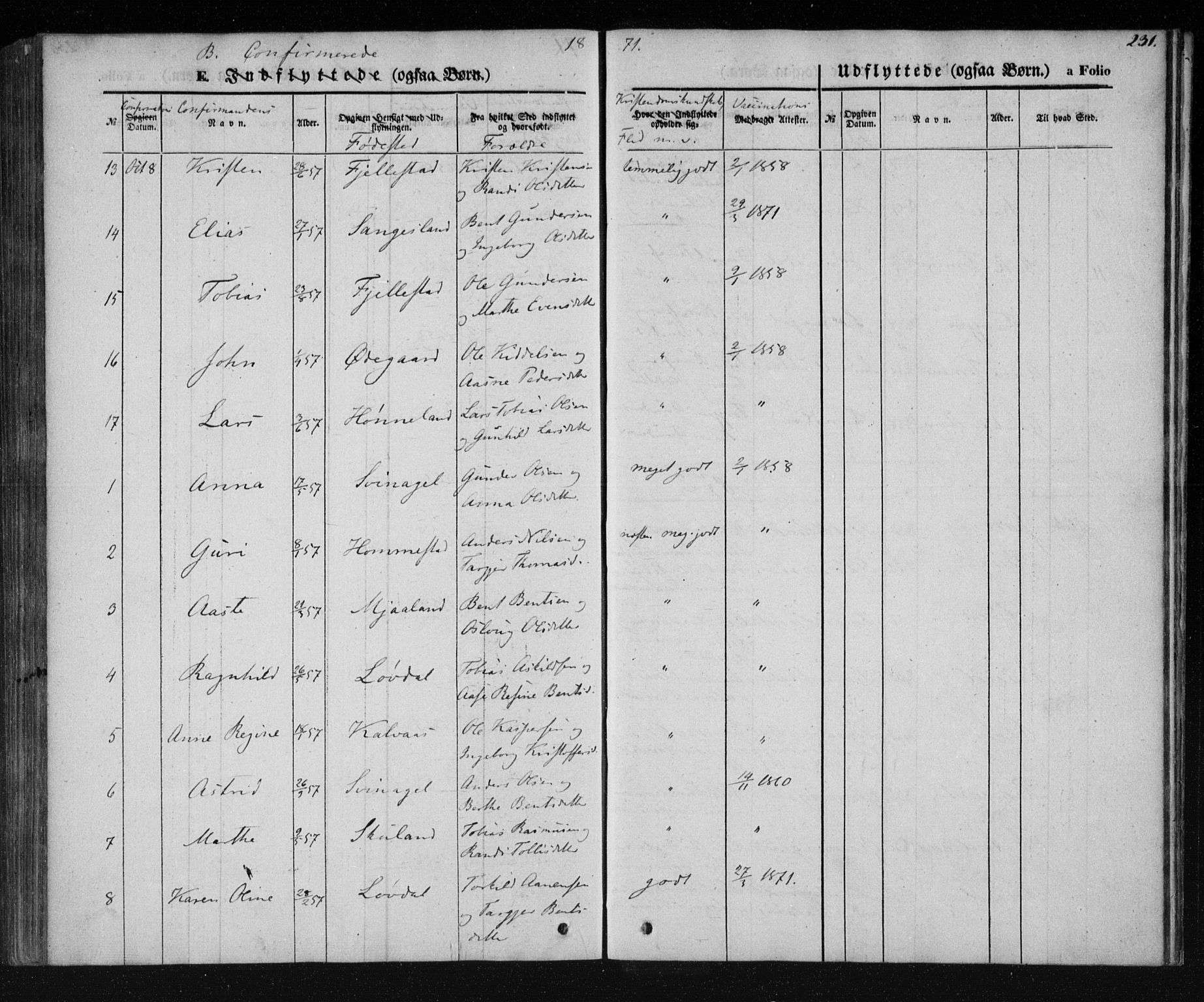 Holum sokneprestkontor, AV/SAK-1111-0022/F/Fa/Fab/L0005: Parish register (official) no. A 5, 1847-1874, p. 231