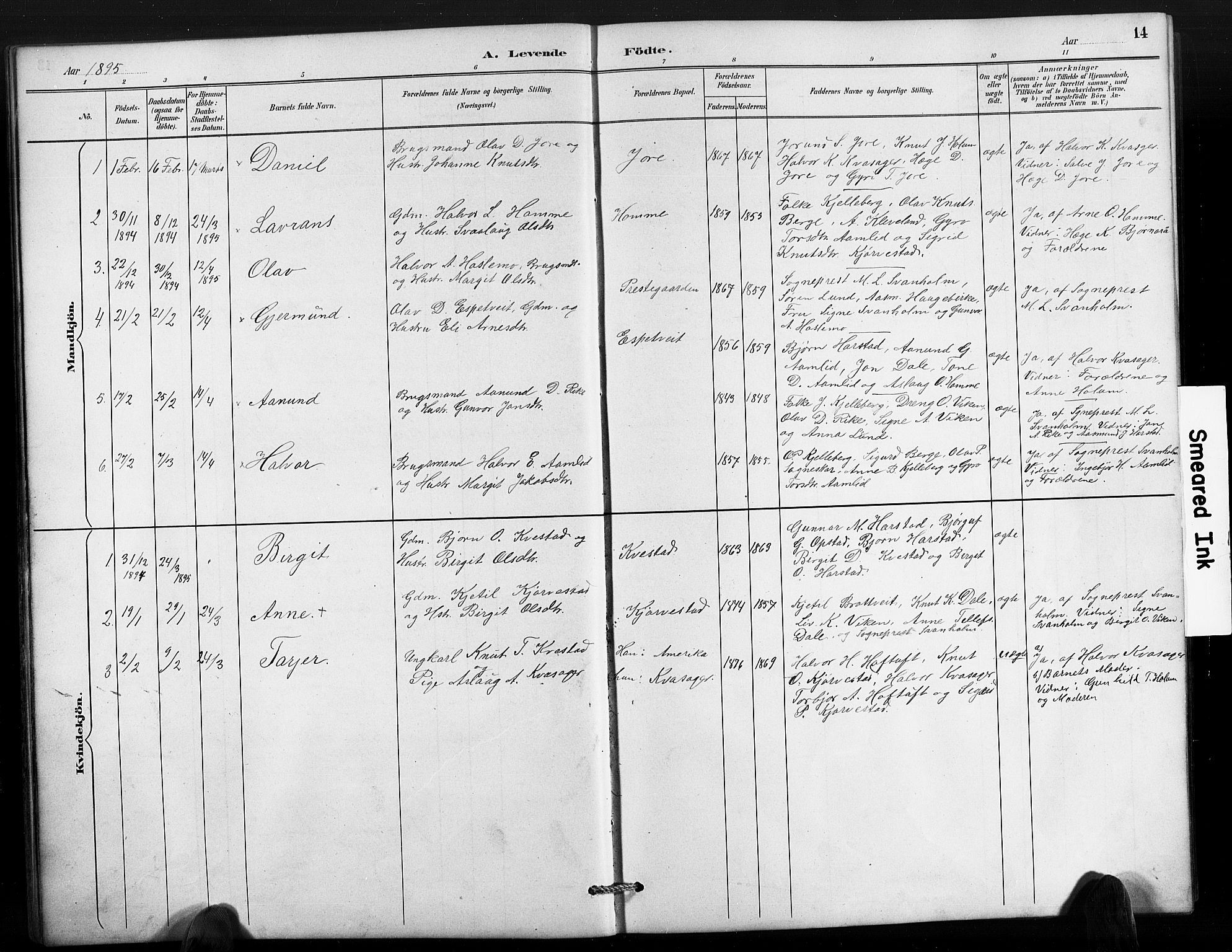 Valle sokneprestkontor, SAK/1111-0044/F/Fb/Fbc/L0004: Parish register (copy) no. B 4, 1890-1928, p. 14