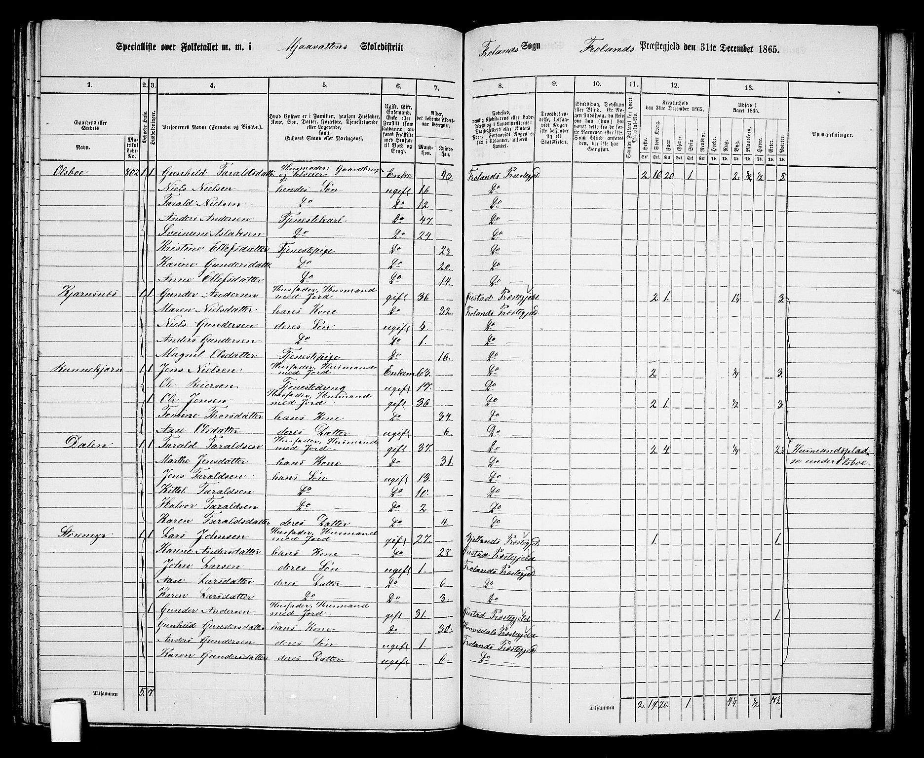 RA, 1865 census for Froland, 1865, p. 65