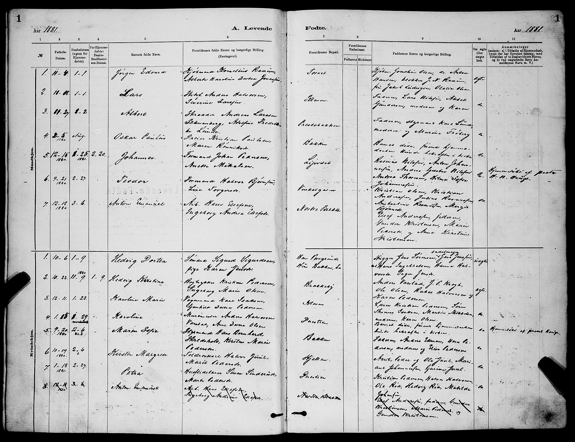 Skien kirkebøker, SAKO/A-302/G/Ga/L0006: Parish register (copy) no. 6, 1881-1890, p. 1