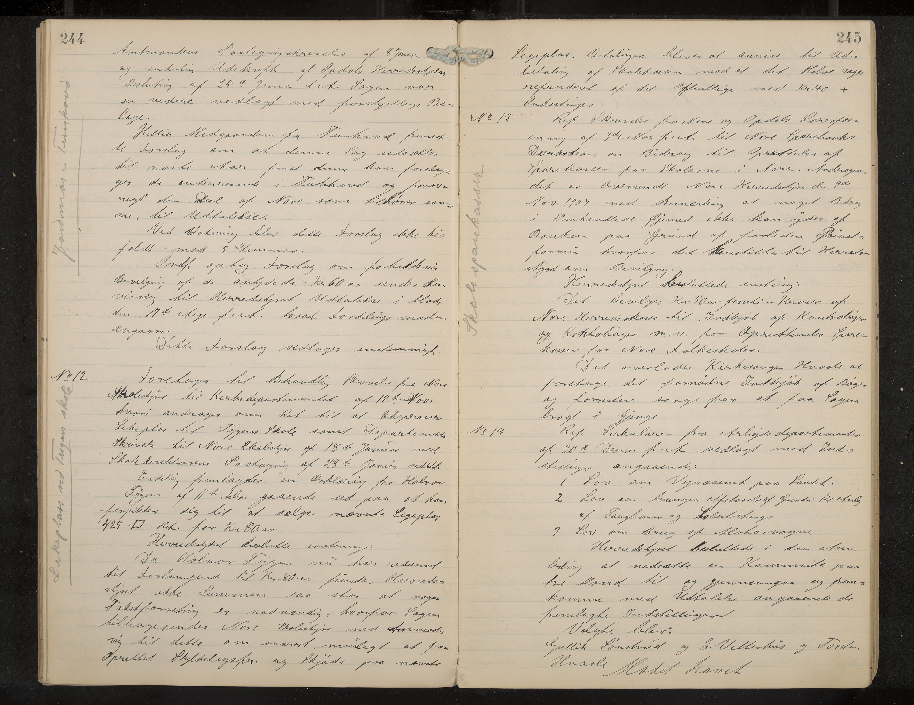 Nore formannskap og sentraladministrasjon, IKAK/0633021-2/A/Aa/L0001: Møtebok, 1901-1911, p. 244-245