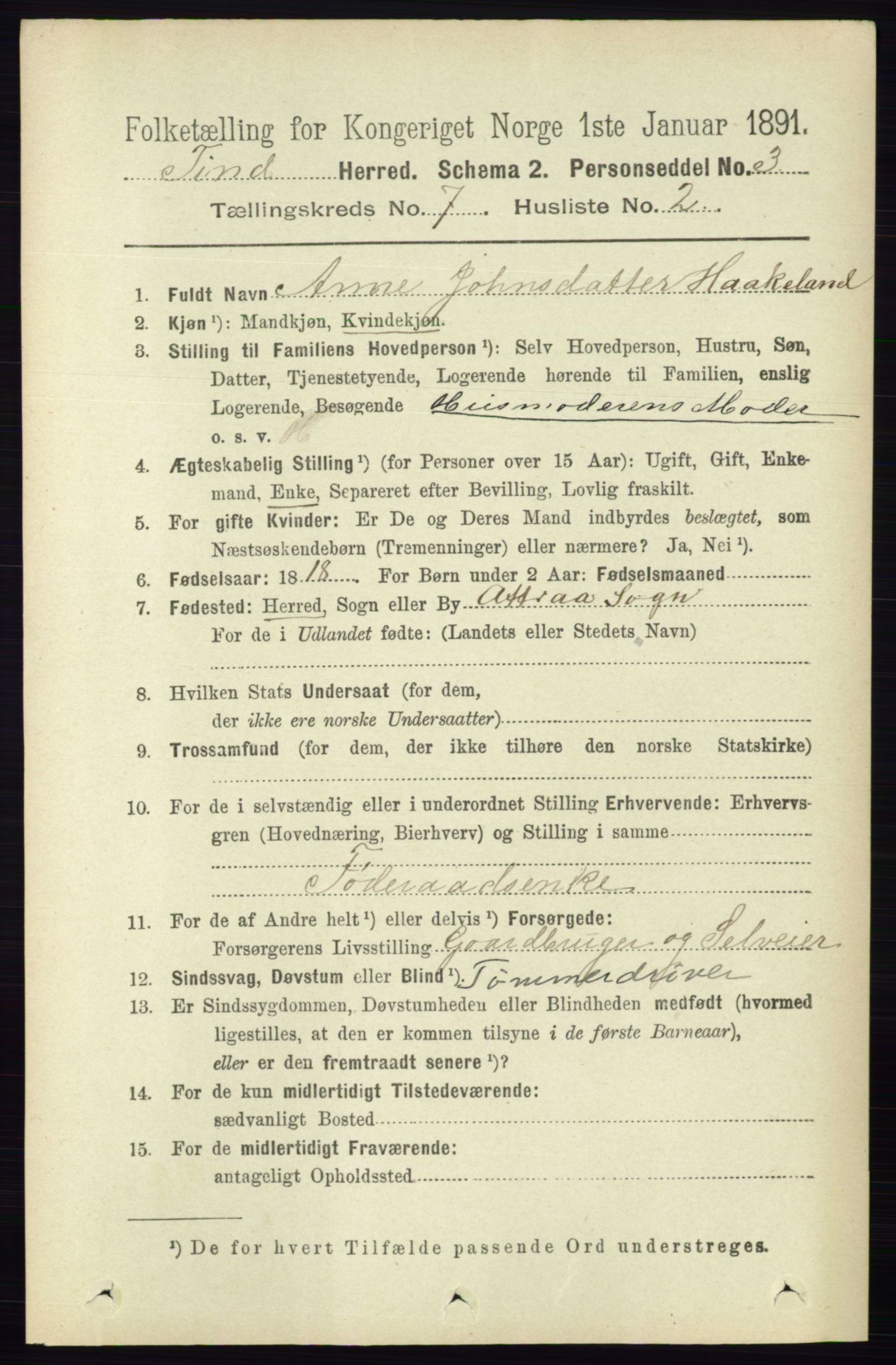 RA, 1891 census for 0826 Tinn, 1891, p. 1447