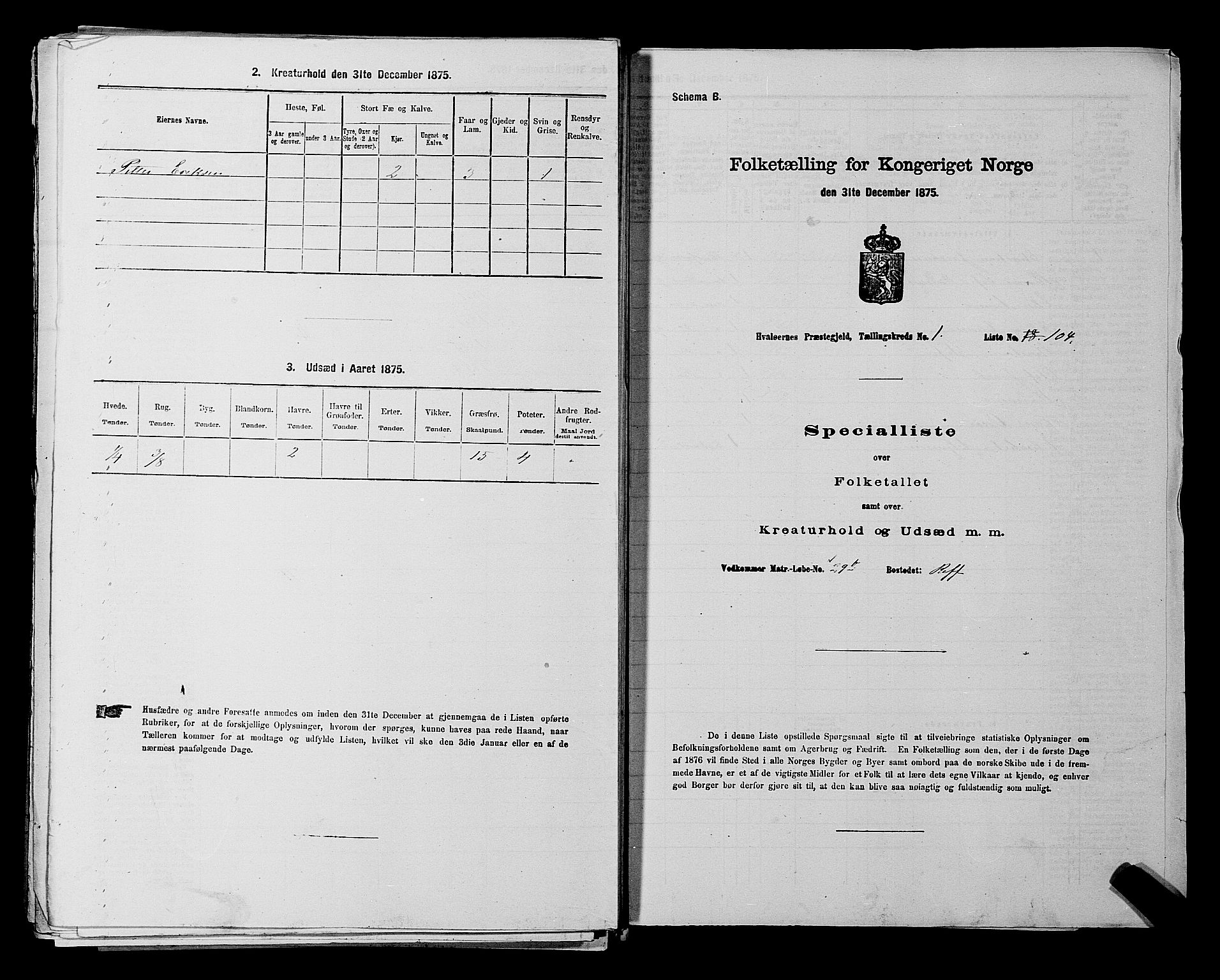 RA, 1875 census for 0111P Hvaler, 1875, p. 248