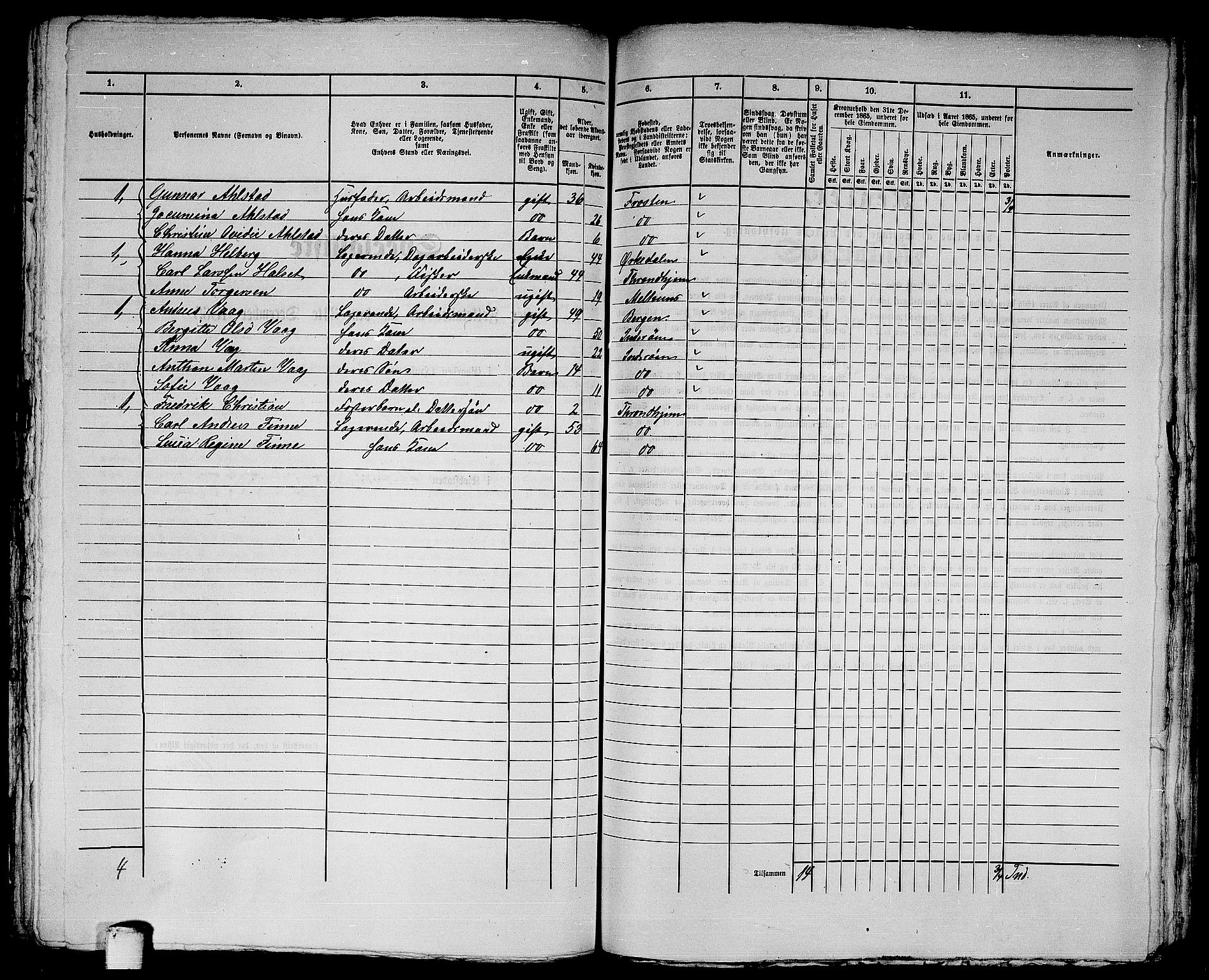 RA, 1865 census for Trondheim, 1865, p. 3007