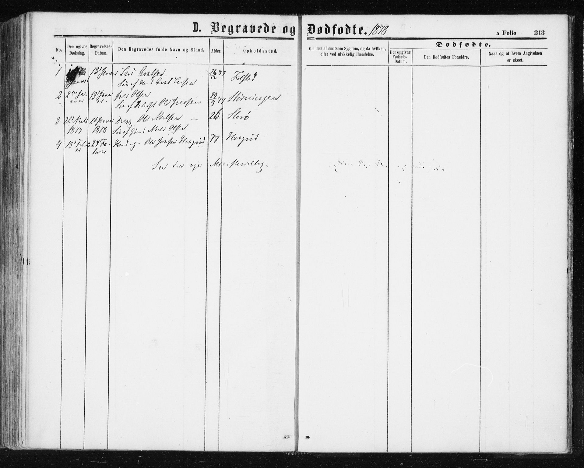 Ministerialprotokoller, klokkerbøker og fødselsregistre - Sør-Trøndelag, SAT/A-1456/687/L1001: Parish register (official) no. 687A07, 1863-1878, p. 213