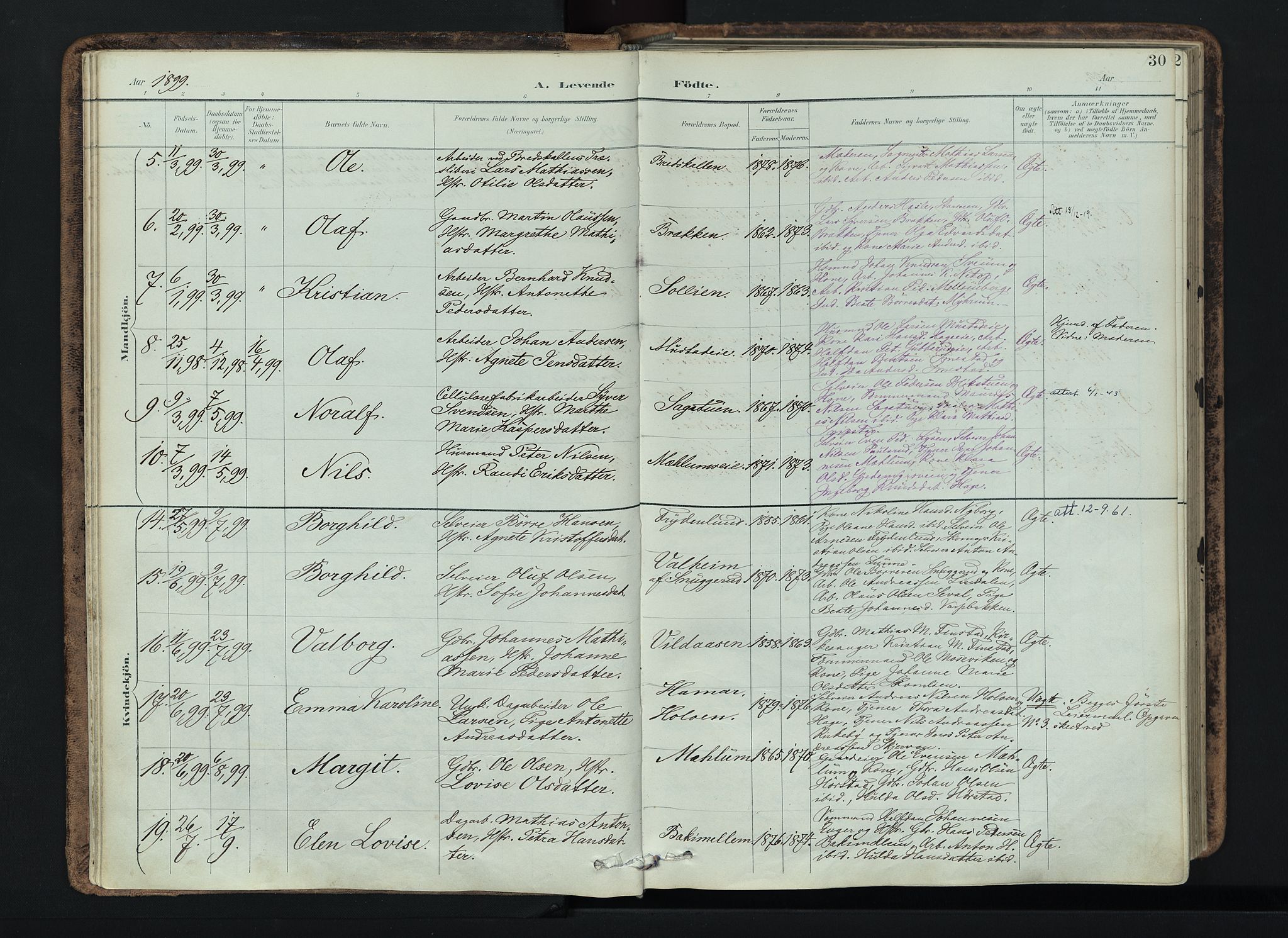 Vardal prestekontor, AV/SAH-PREST-100/H/Ha/Haa/L0019: Parish register (official) no. 19, 1893-1907, p. 30