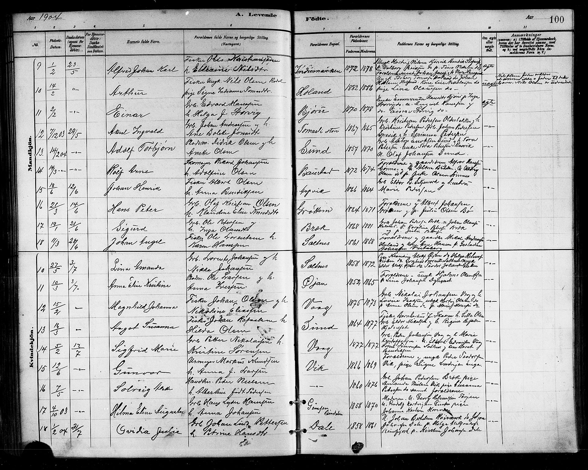 Ministerialprotokoller, klokkerbøker og fødselsregistre - Nordland, SAT/A-1459/812/L0188: Parish register (copy) no. 812C06, 1884-1912, p. 100