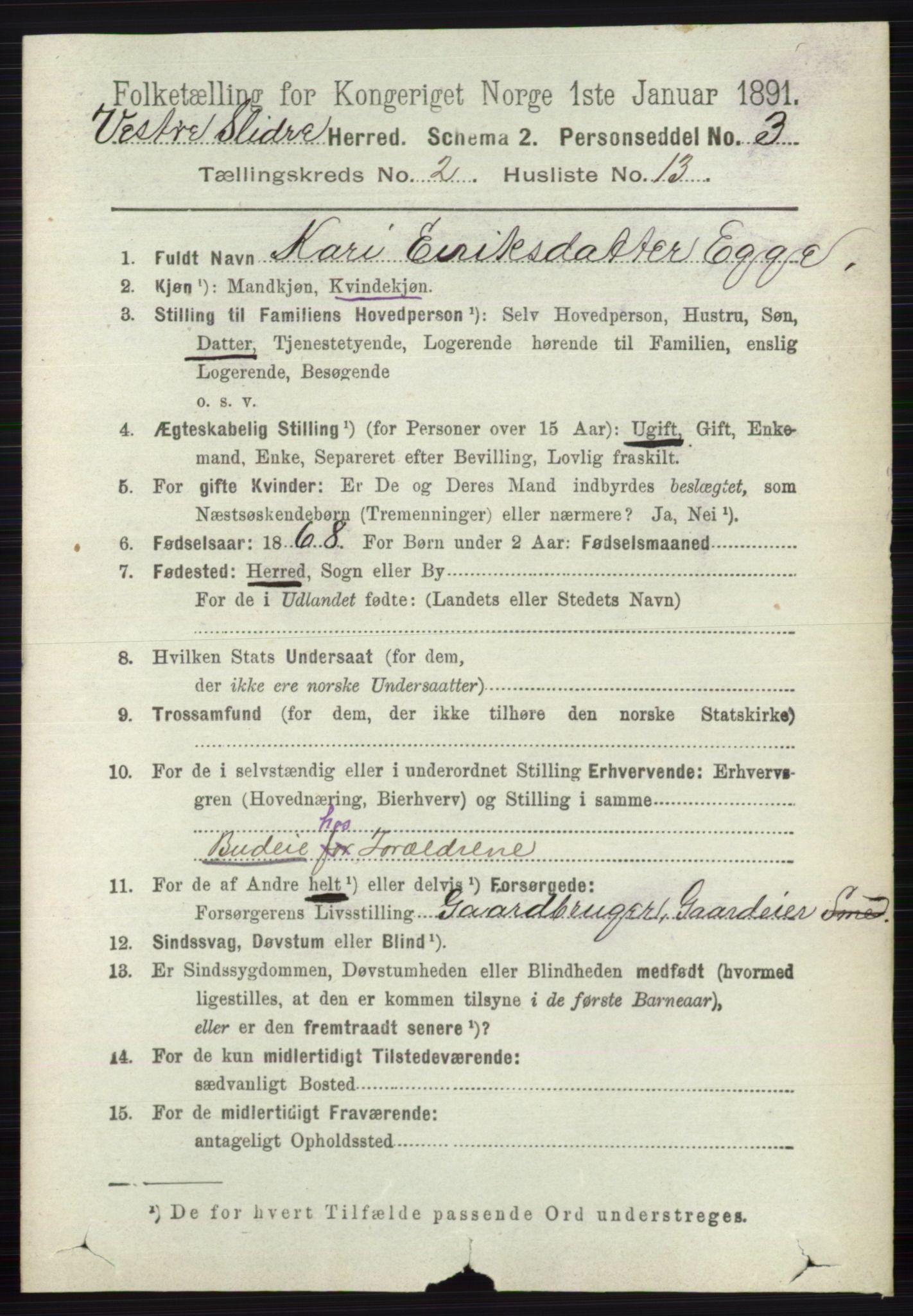 RA, 1891 census for 0543 Vestre Slidre, 1891, p. 601