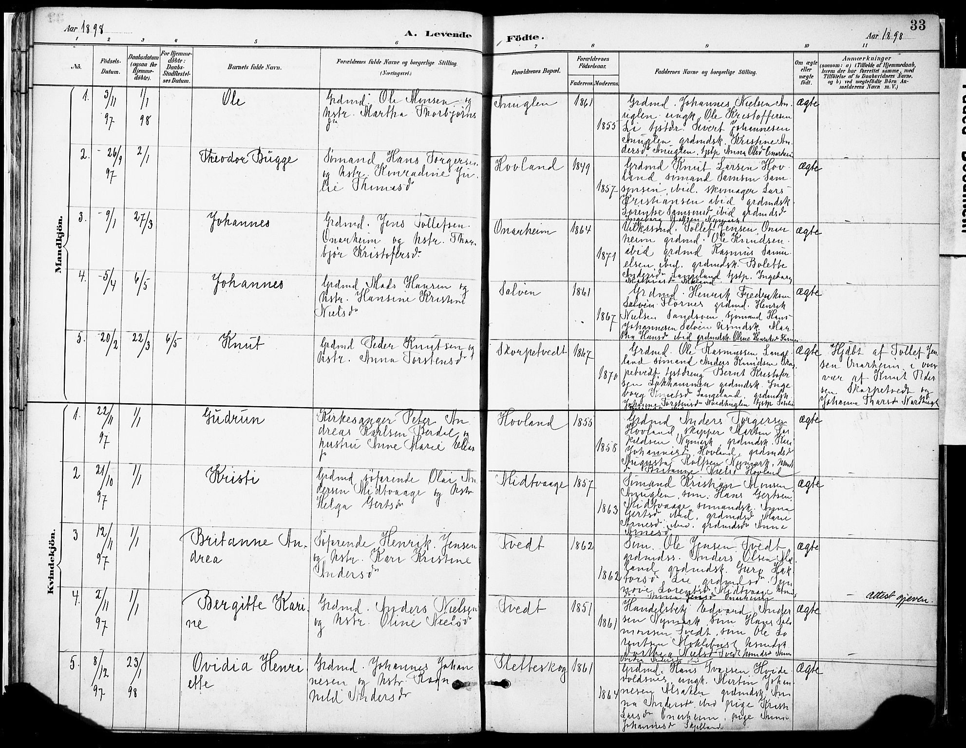 Tysnes sokneprestembete, SAB/A-78601/H/Haa: Parish register (official) no. C 1, 1887-1912, p. 33