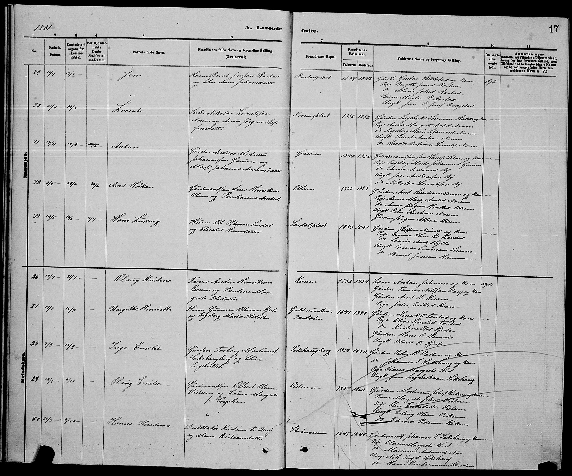 Ministerialprotokoller, klokkerbøker og fødselsregistre - Nord-Trøndelag, AV/SAT-A-1458/730/L0301: Parish register (copy) no. 730C04, 1880-1897, p. 17