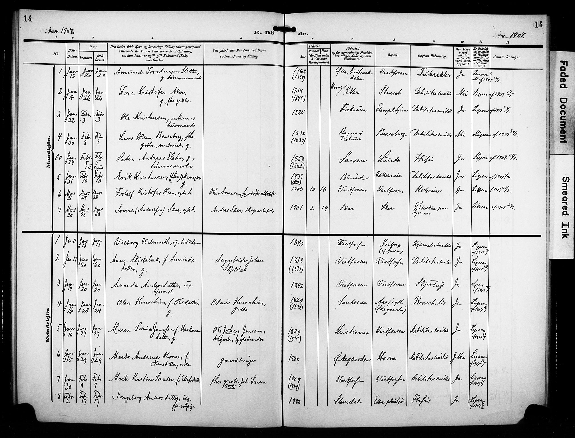 Eiker kirkebøker, AV/SAKO-A-4/F/Fb/L0004: Parish register (official) no. II 4, 1905-1914, p. 14