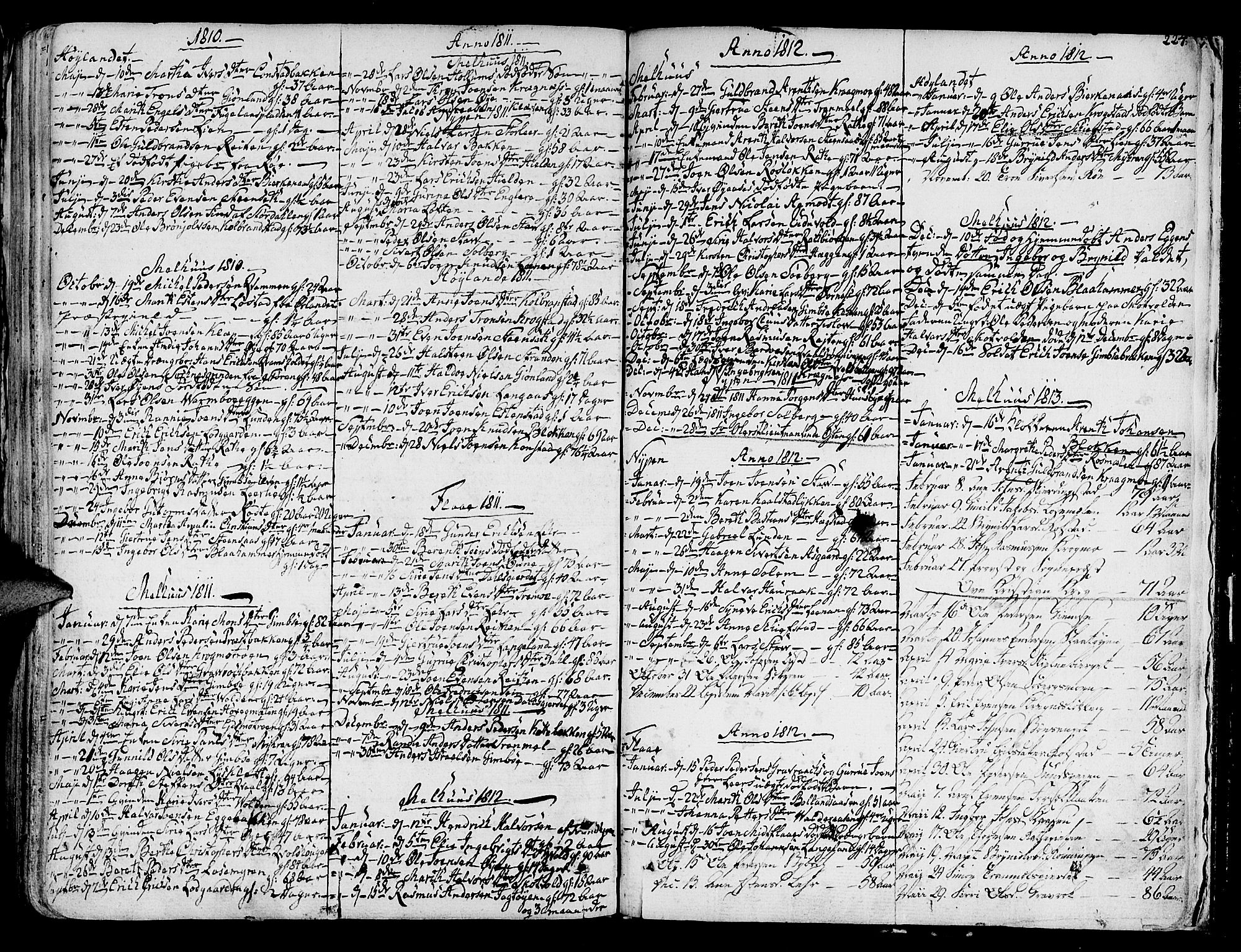 Ministerialprotokoller, klokkerbøker og fødselsregistre - Sør-Trøndelag, SAT/A-1456/691/L1061: Parish register (official) no. 691A02 /1, 1768-1815, p. 224