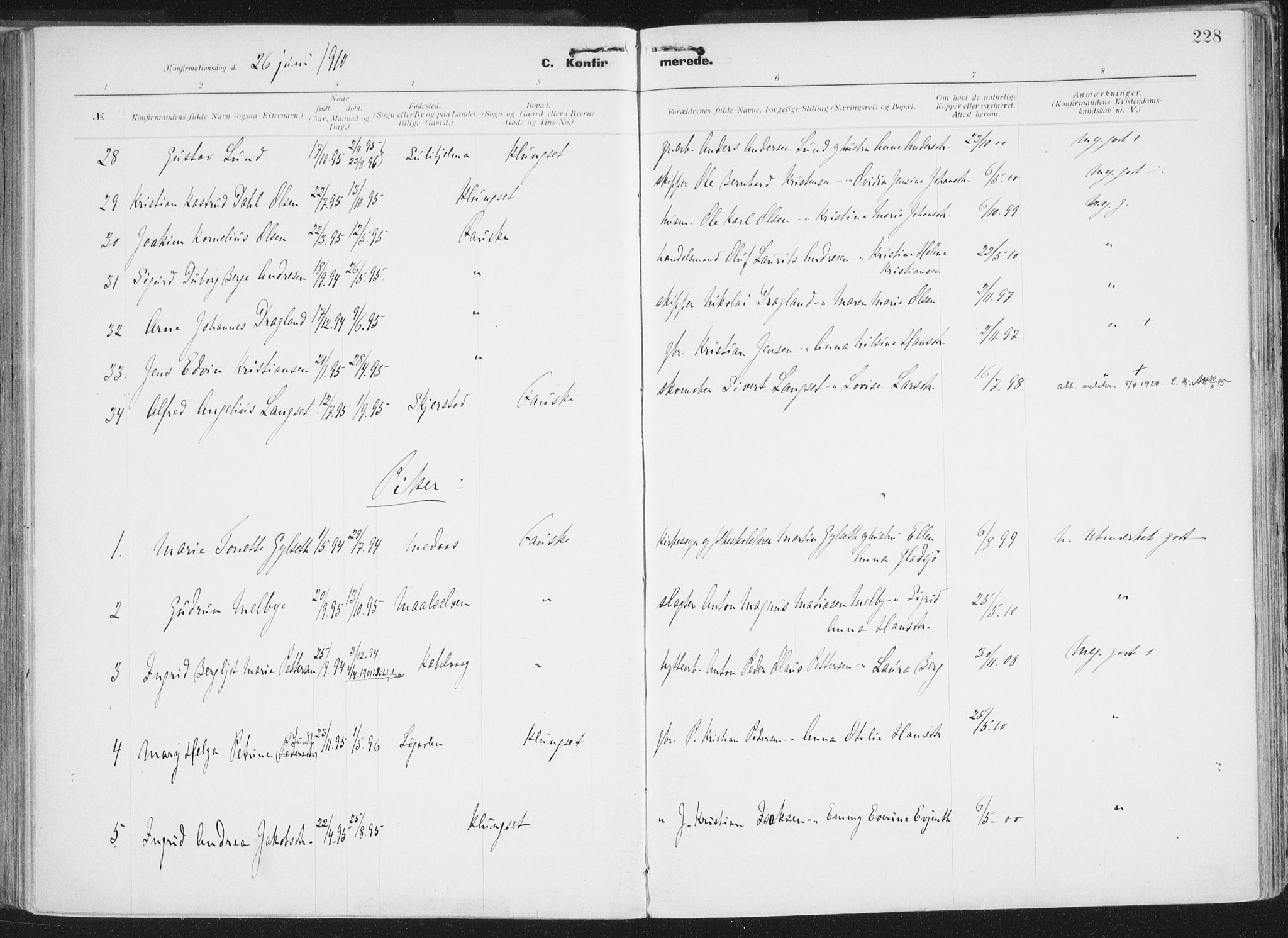 Ministerialprotokoller, klokkerbøker og fødselsregistre - Nordland, AV/SAT-A-1459/849/L0696: Parish register (official) no. 849A08, 1898-1910, p. 228