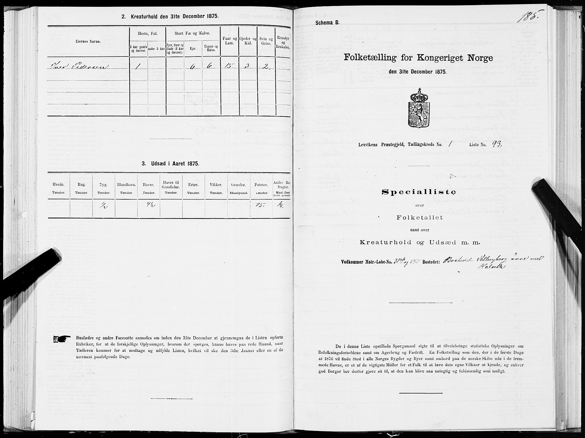 SAT, 1875 census for 1718P Leksvik, 1875, p. 1185