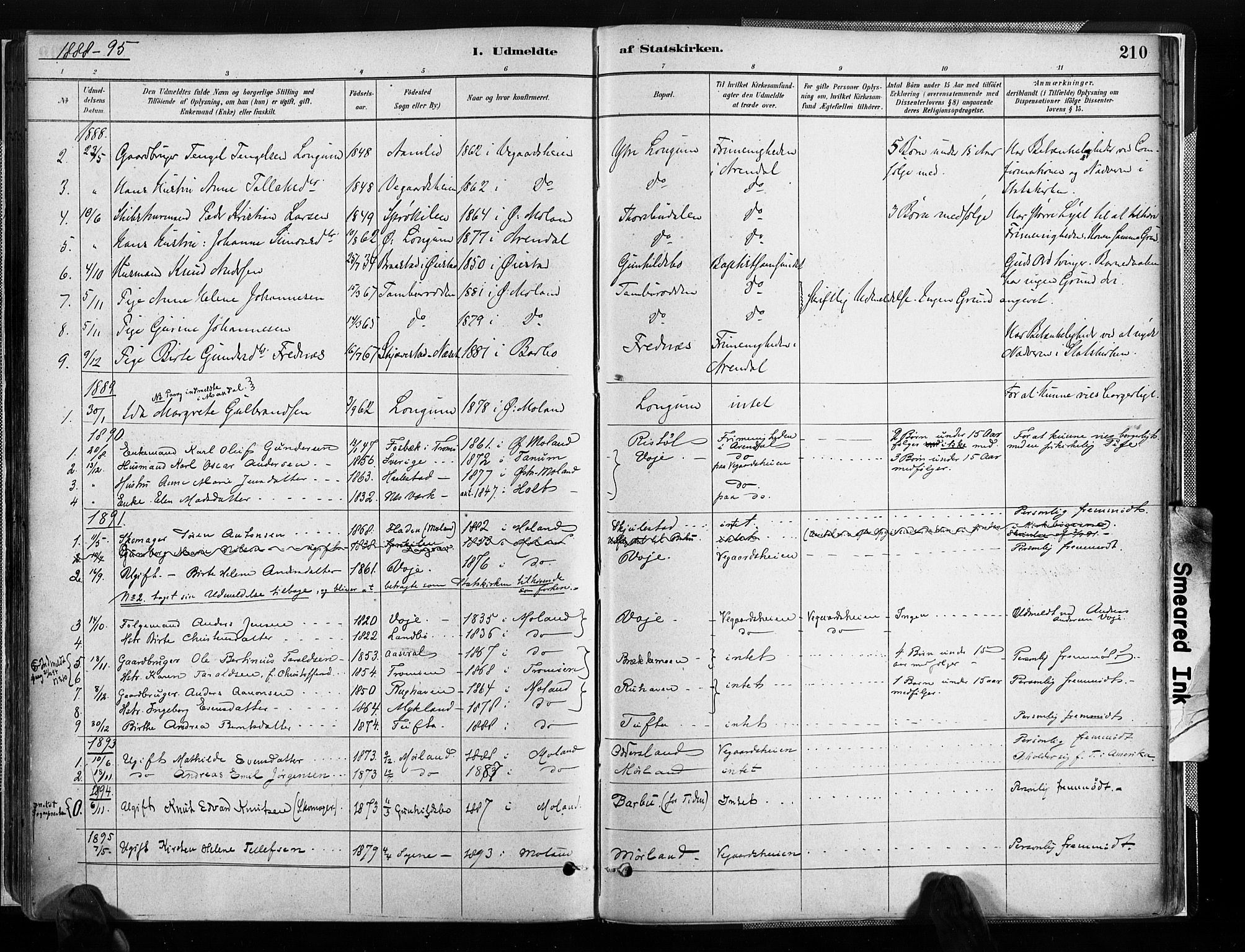 Austre Moland sokneprestkontor, SAK/1111-0001/F/Fa/Faa/L0010: Parish register (official) no. A 10, 1880-1904, p. 210