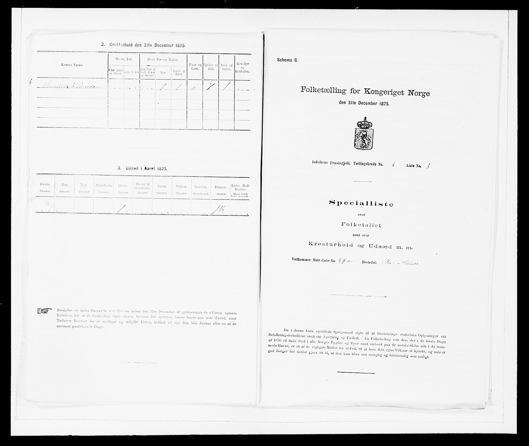 SAB, 1875 Census for 1447P Innvik, 1875, p. 909