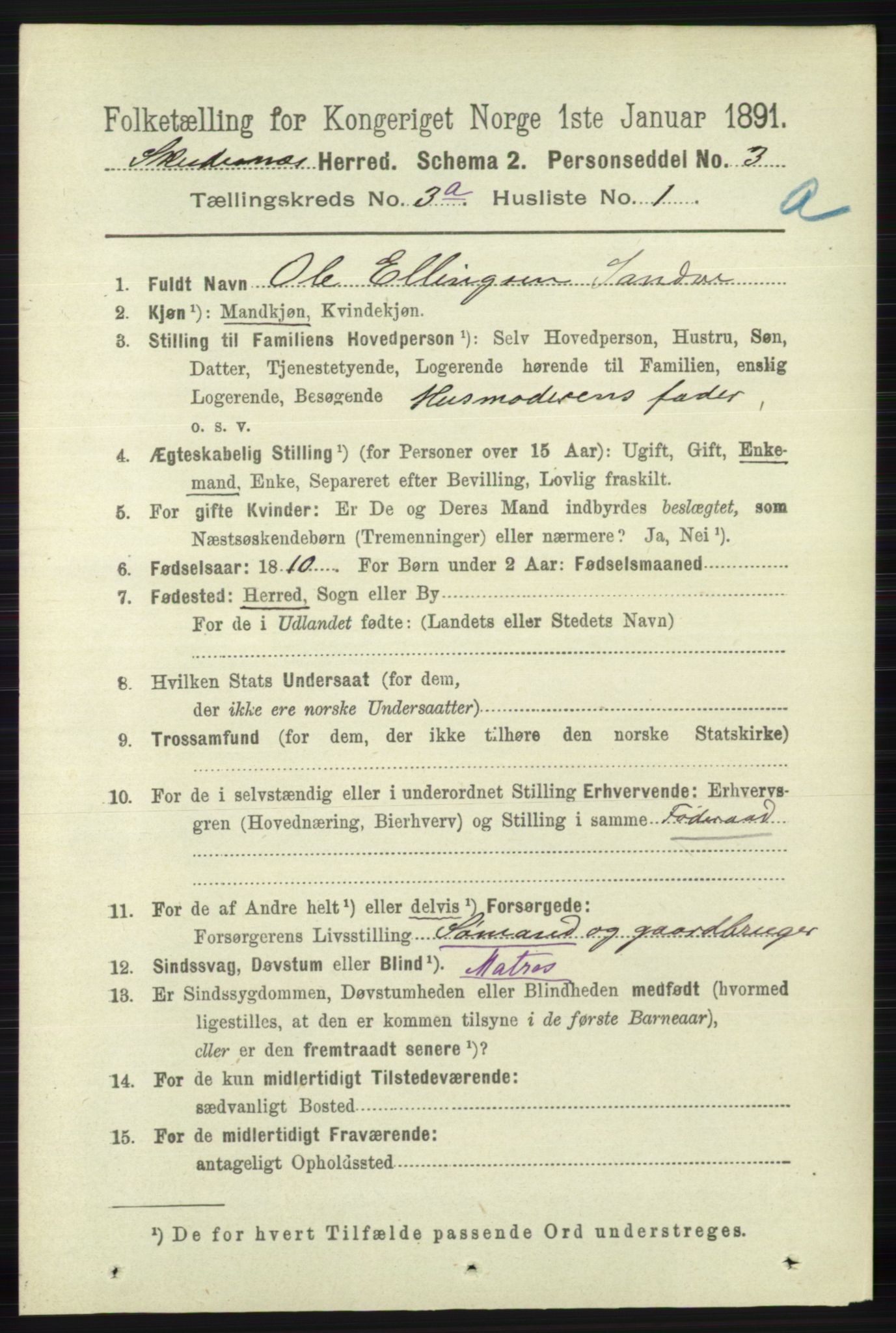 RA, 1891 census for 1150 Skudenes, 1891, p. 1377