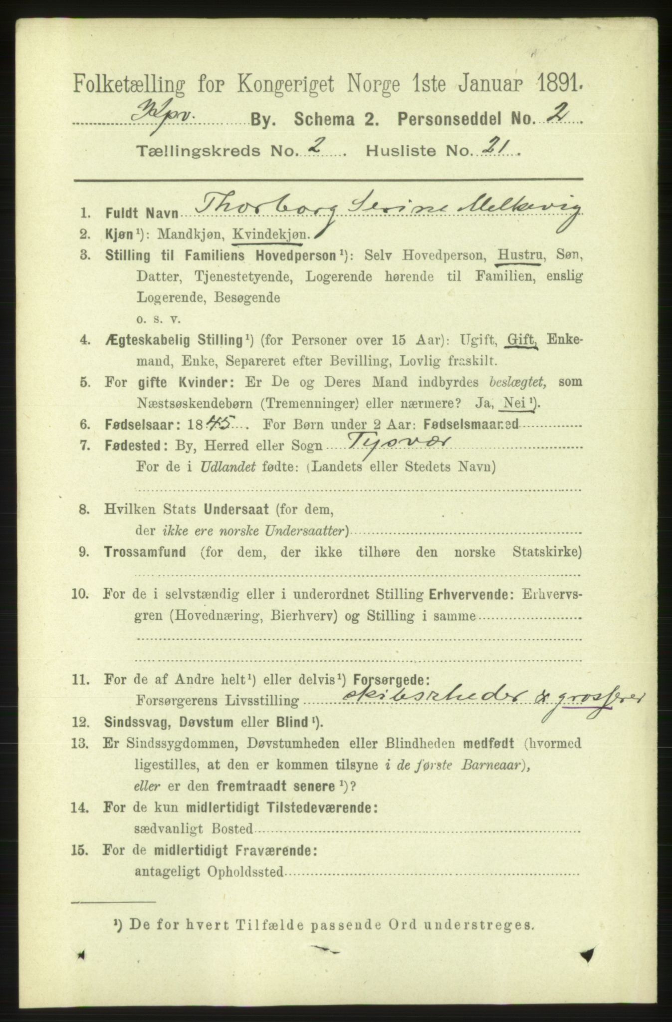 RA, 1891 census for 1105 Kopervik, 1891, p. 238