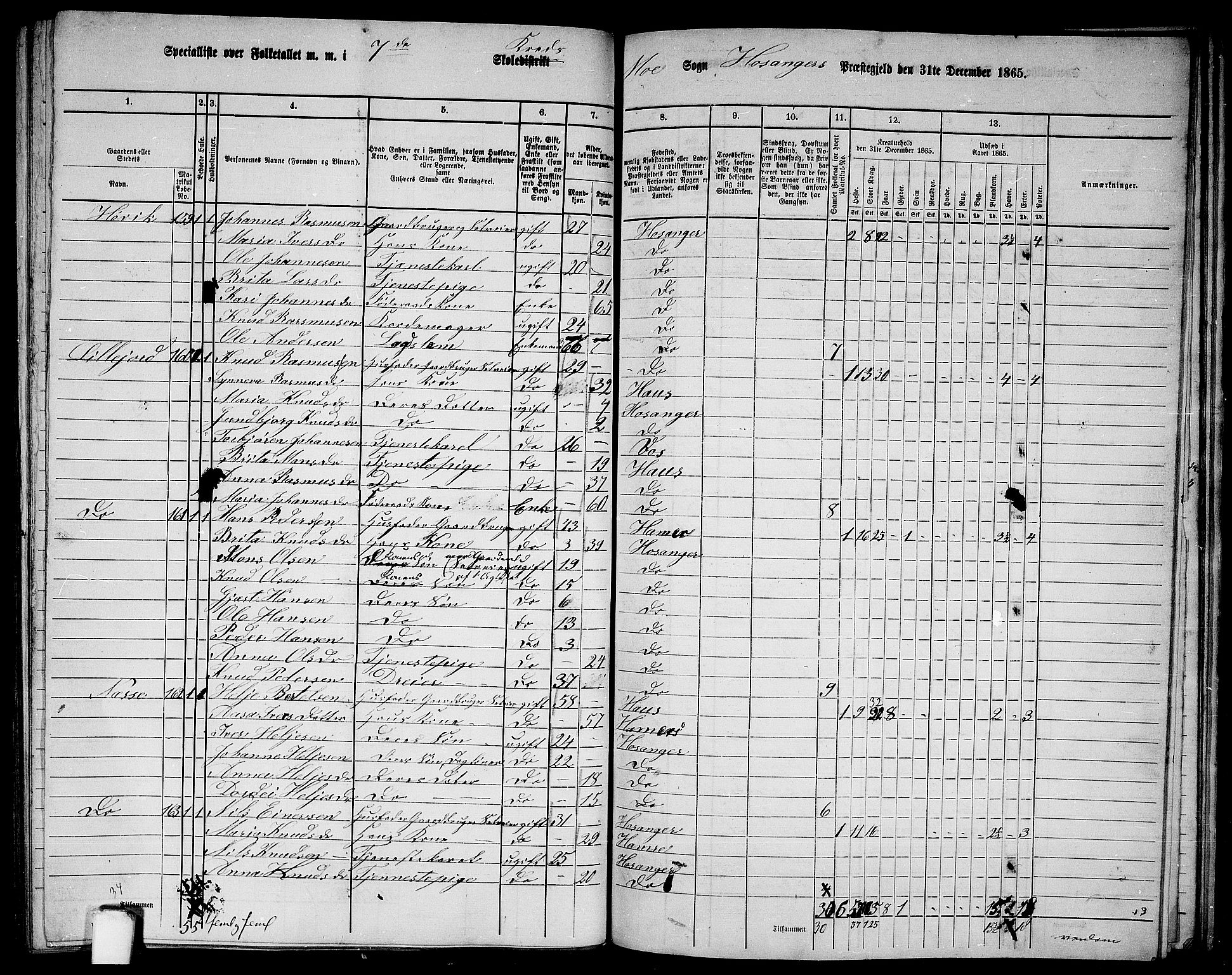 RA, 1865 census for Hosanger, 1865, p. 140