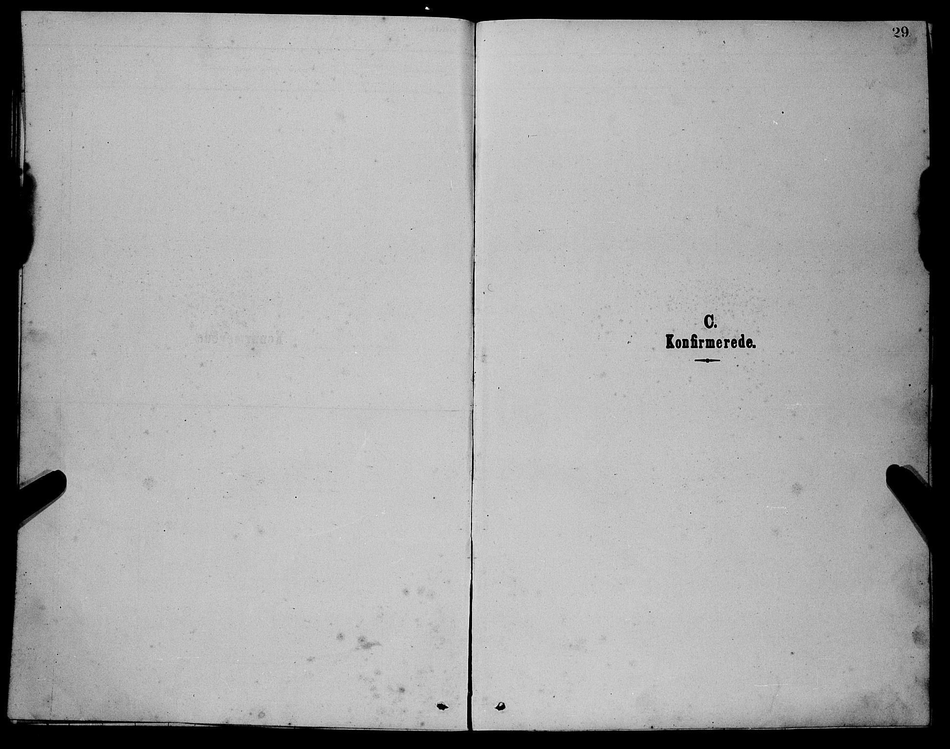 Balestrand sokneprestembete, SAB/A-79601/H/Hab/Habc/L0002: Parish register (copy) no. C 2, 1878-1895, p. 29