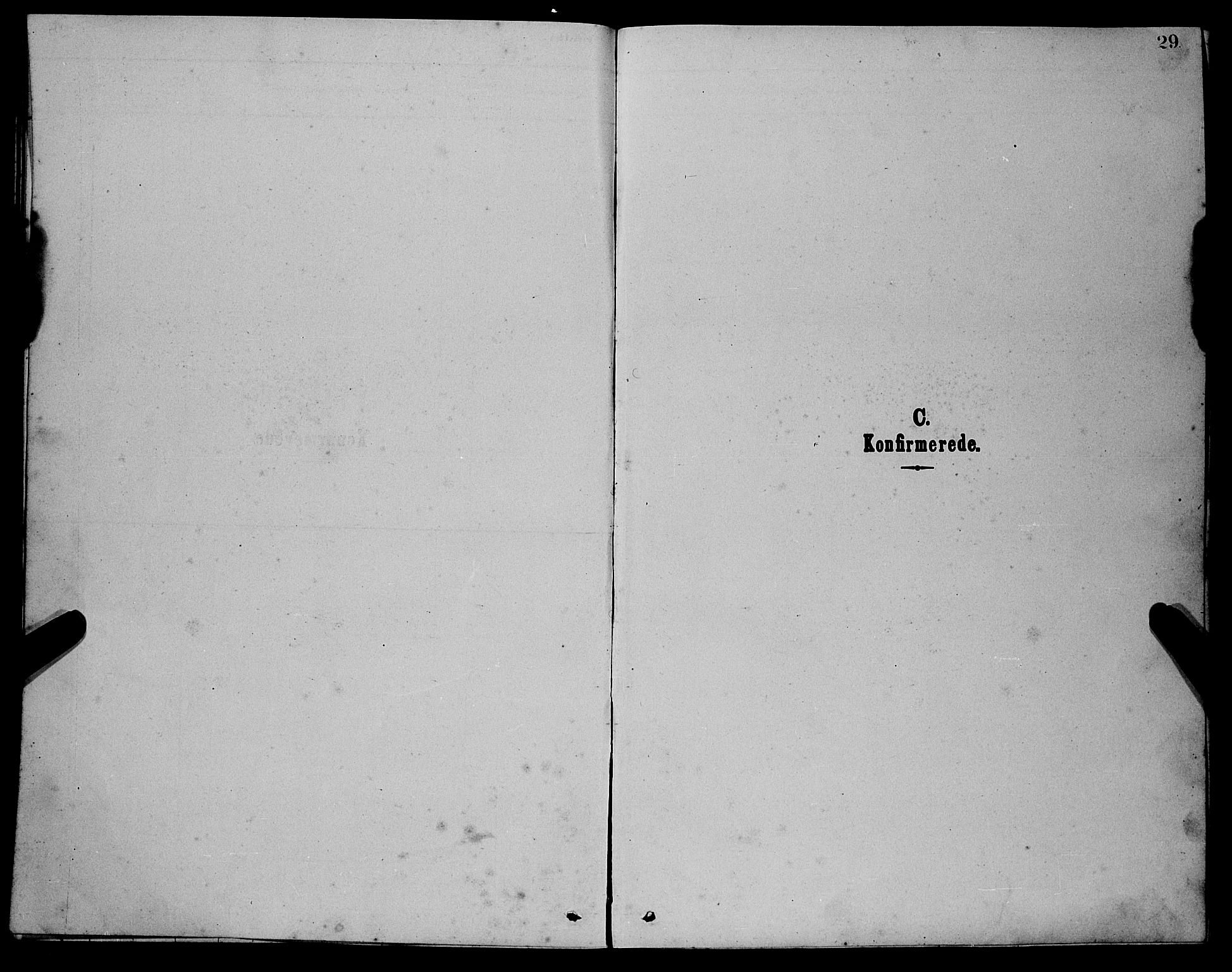 Balestrand sokneprestembete, AV/SAB-A-79601/H/Hab/Habc/L0002: Parish register (copy) no. C 2, 1878-1895, p. 29
