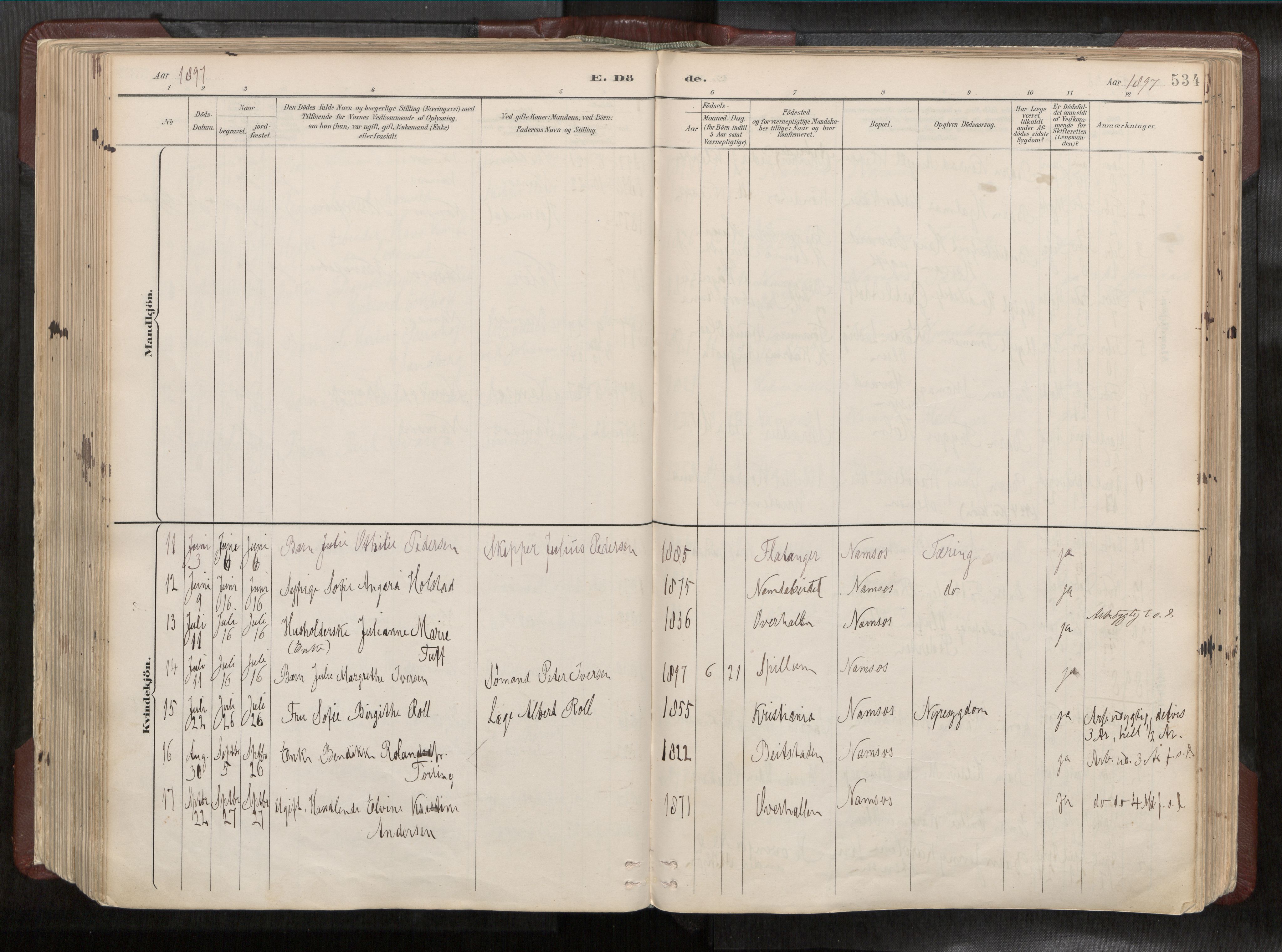 Ministerialprotokoller, klokkerbøker og fødselsregistre - Nord-Trøndelag, AV/SAT-A-1458/768/L0579a: Parish register (official) no. 768A14, 1887-1931, p. 534